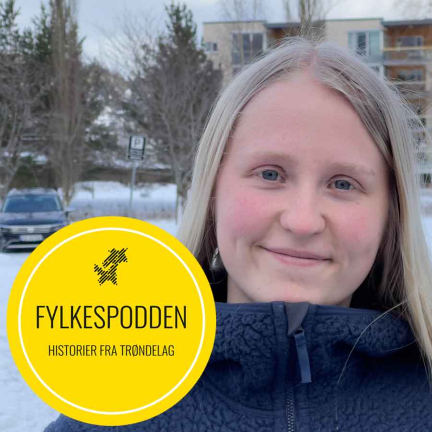 Fylkespodden