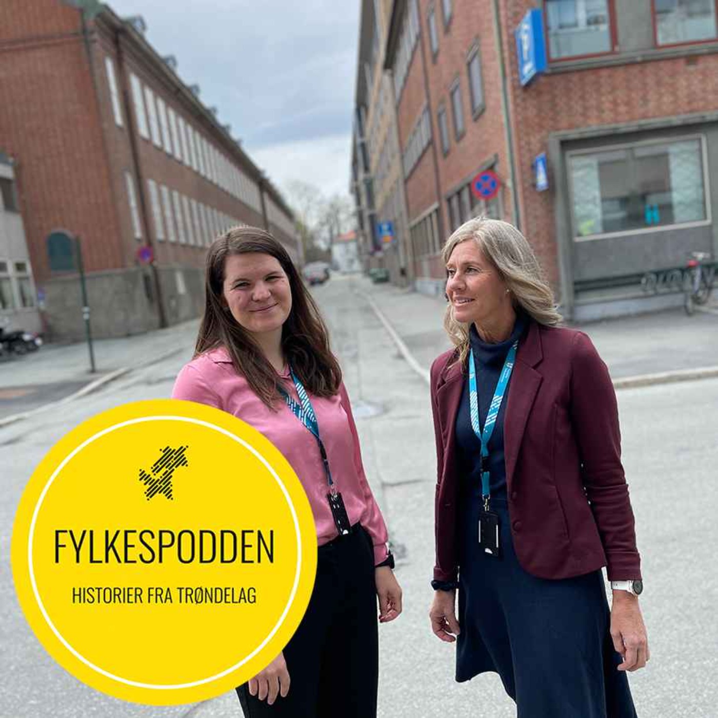 Fylkespodden
