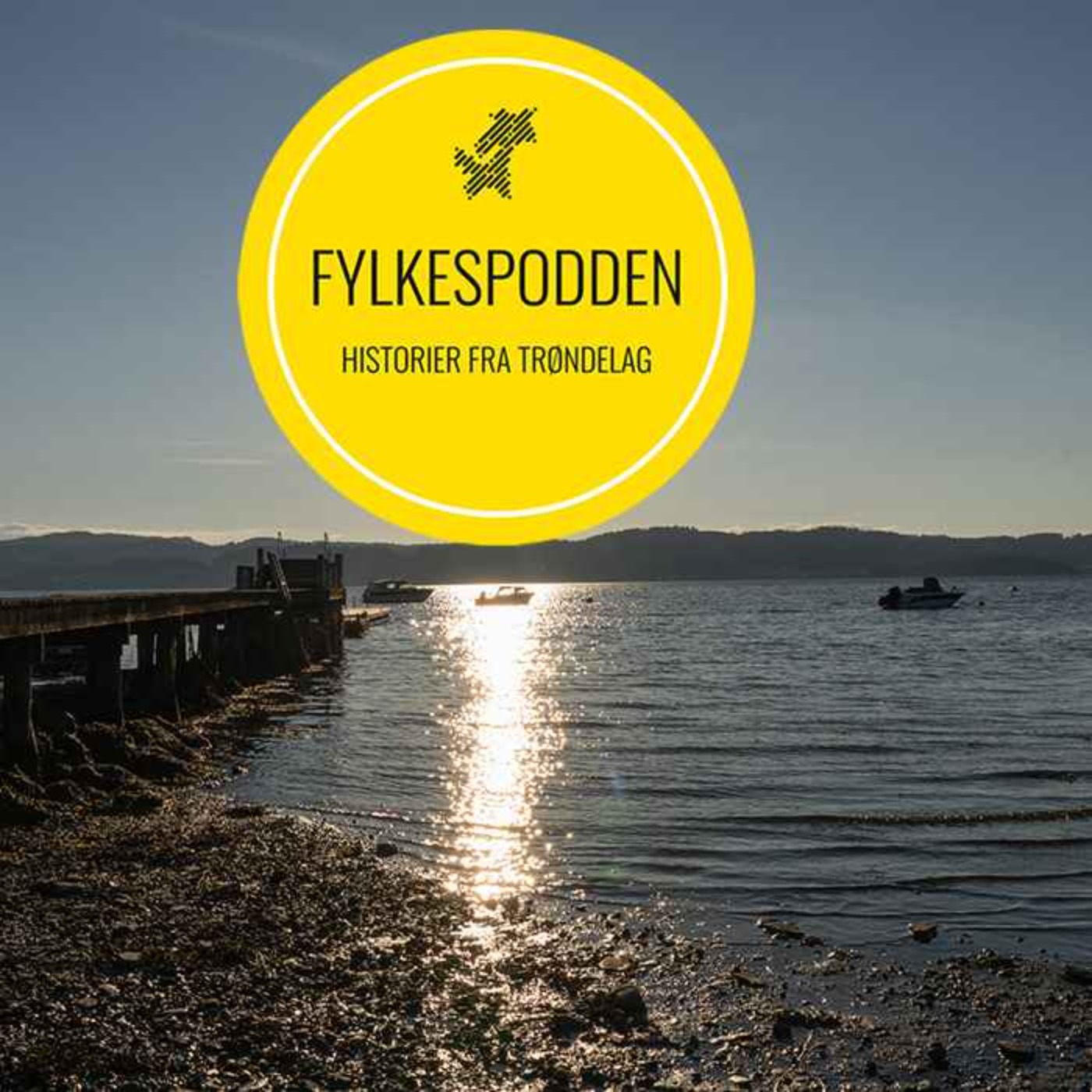 Fylkespodden