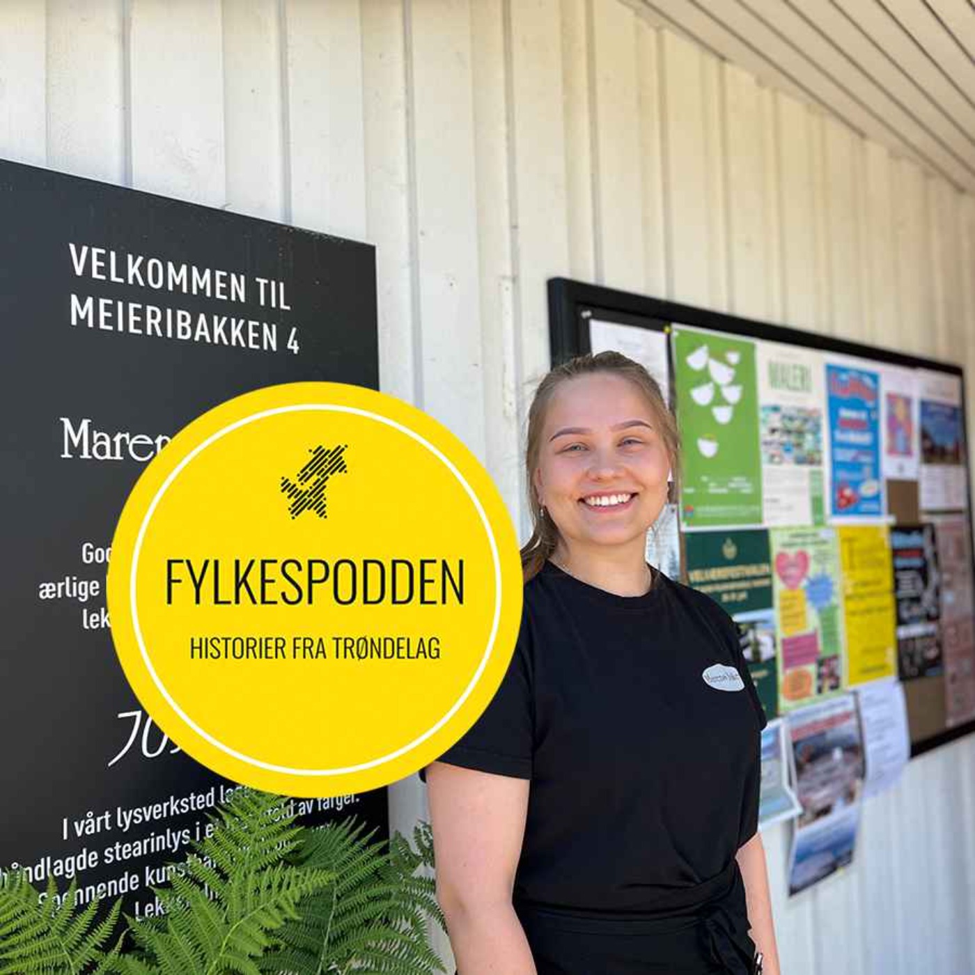 Fylkespodden