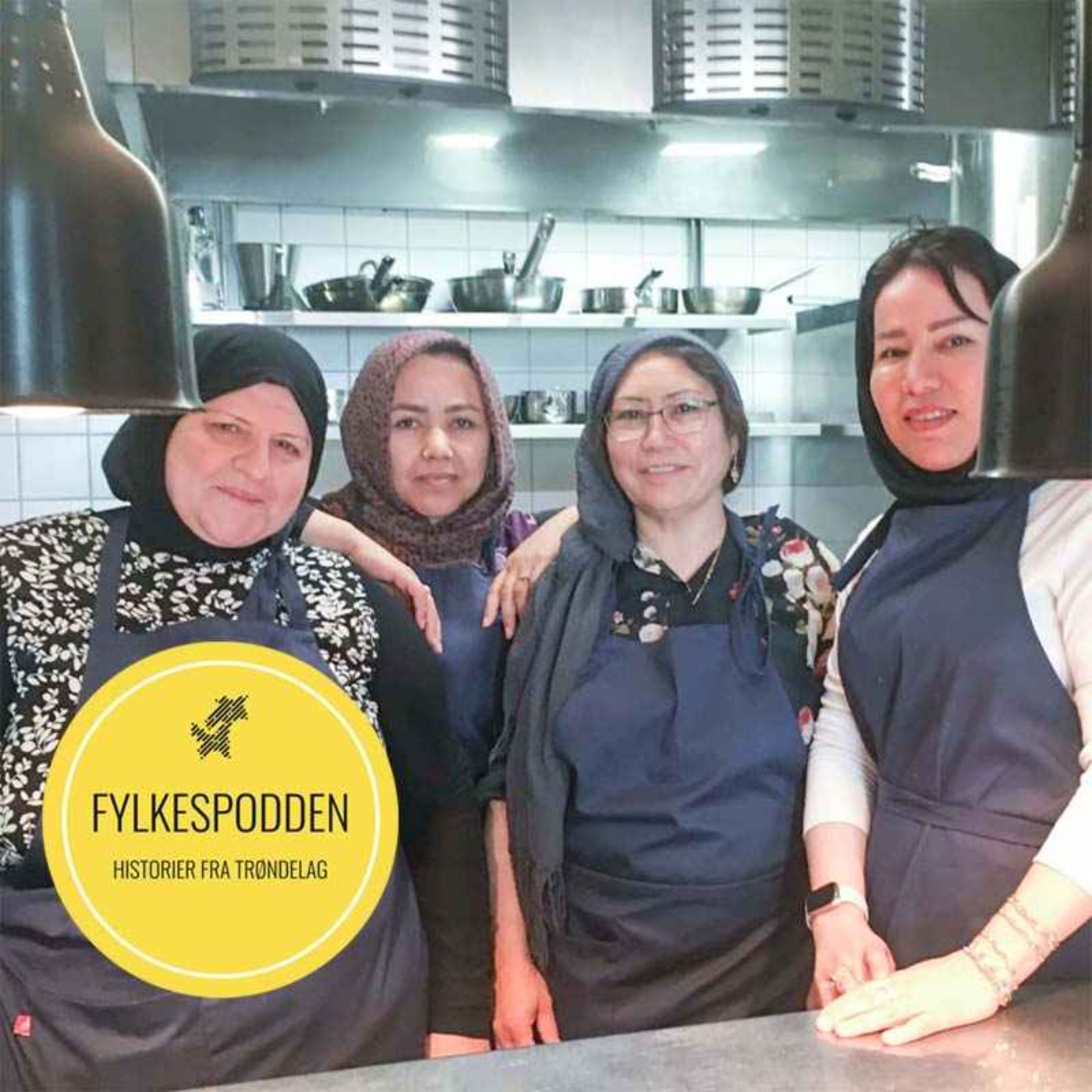 Fylkespodden
