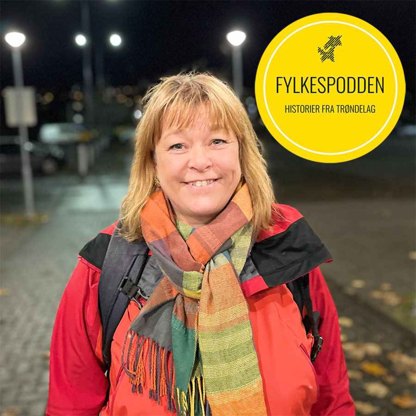 Fylkespodden
