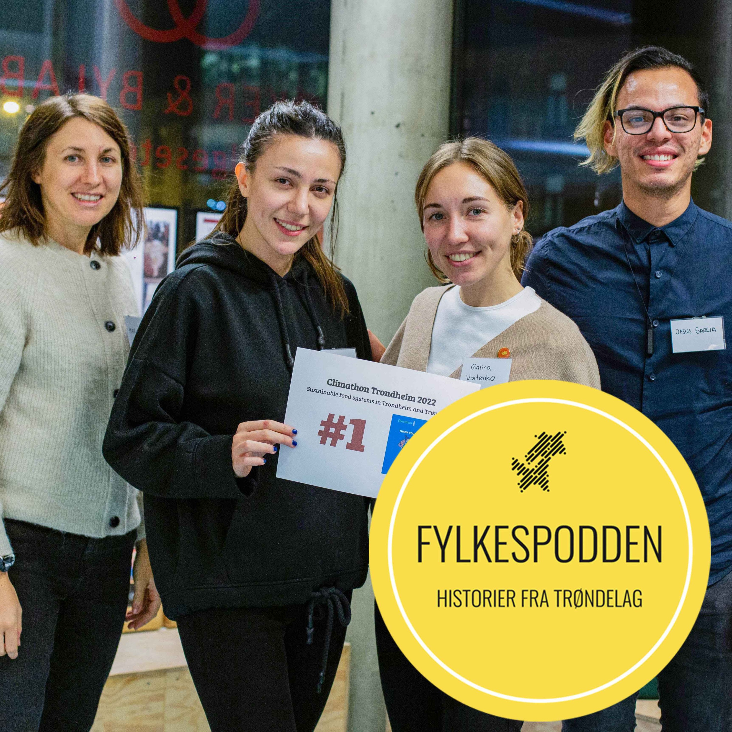 Fylkespodden
