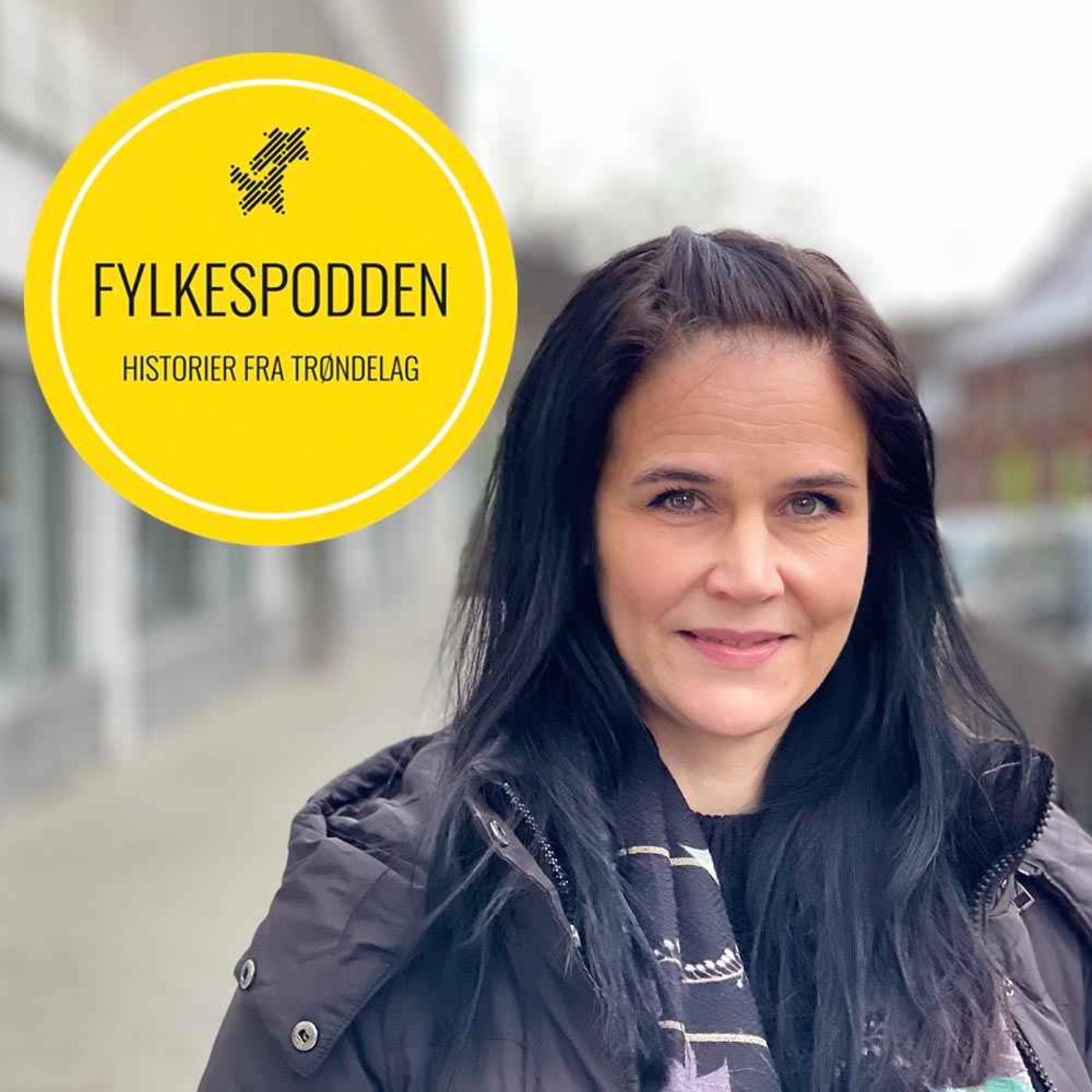 Fylkespodden