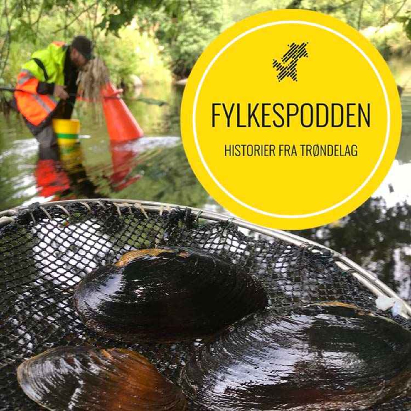 Fylkespodden