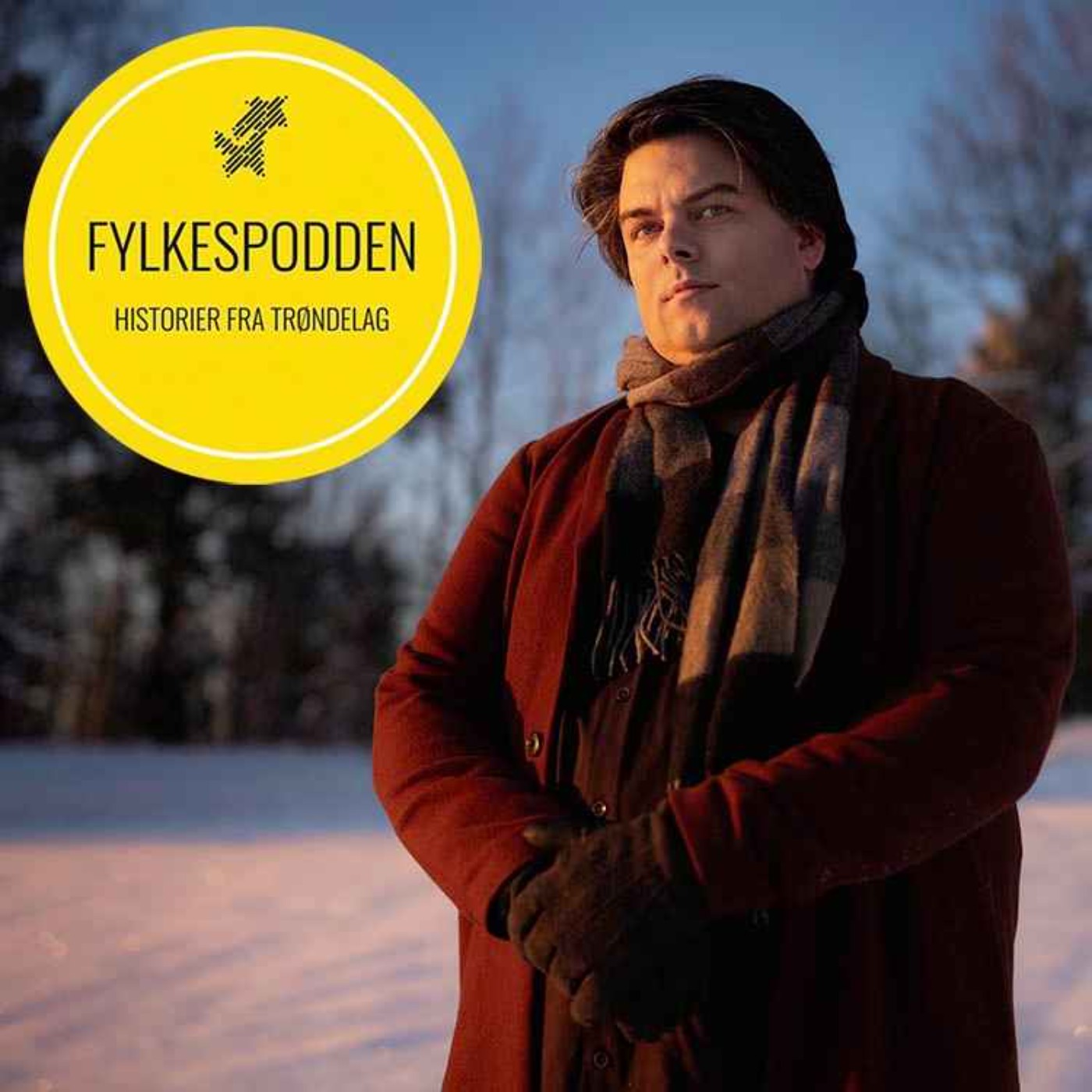 Fylkespodden