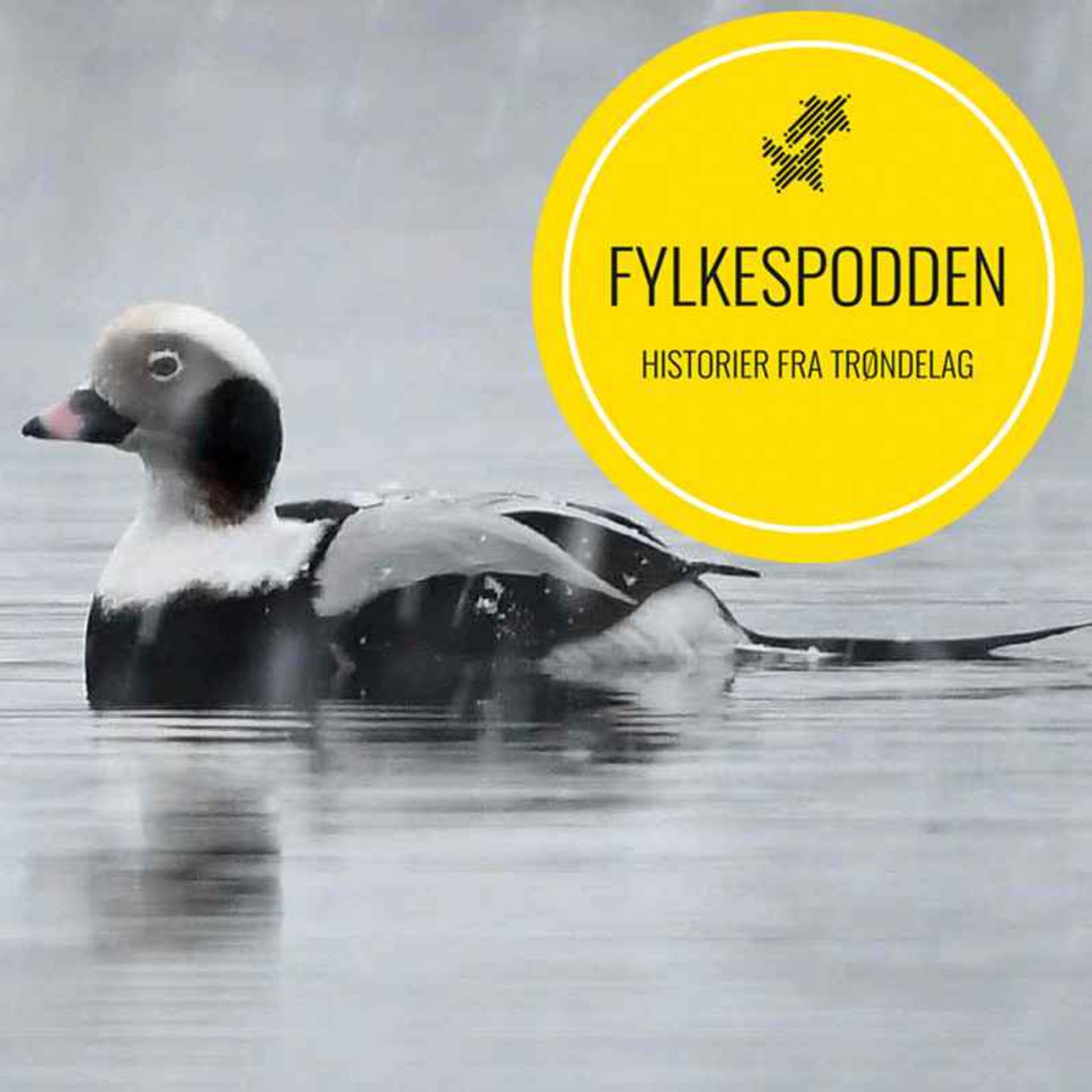 Fylkespodden