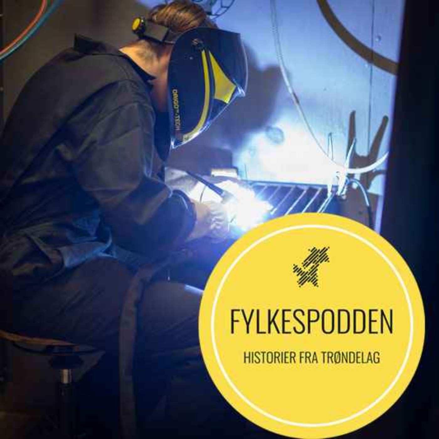 Fylkespodden