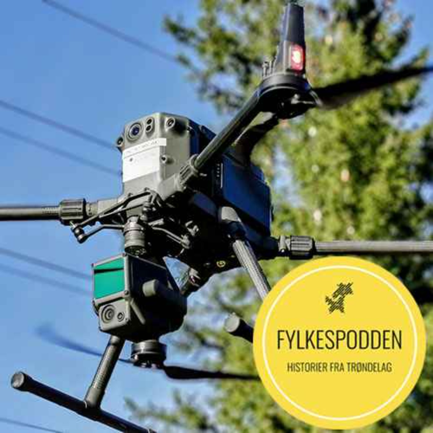 Fylkespodden