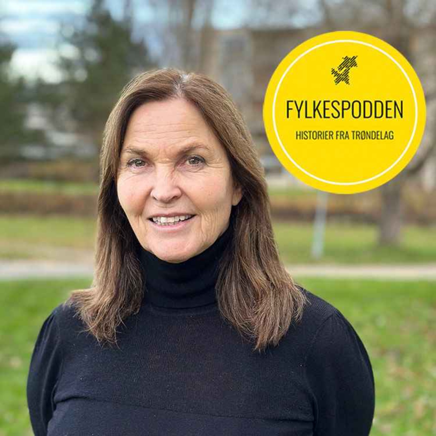 Fylkespodden
