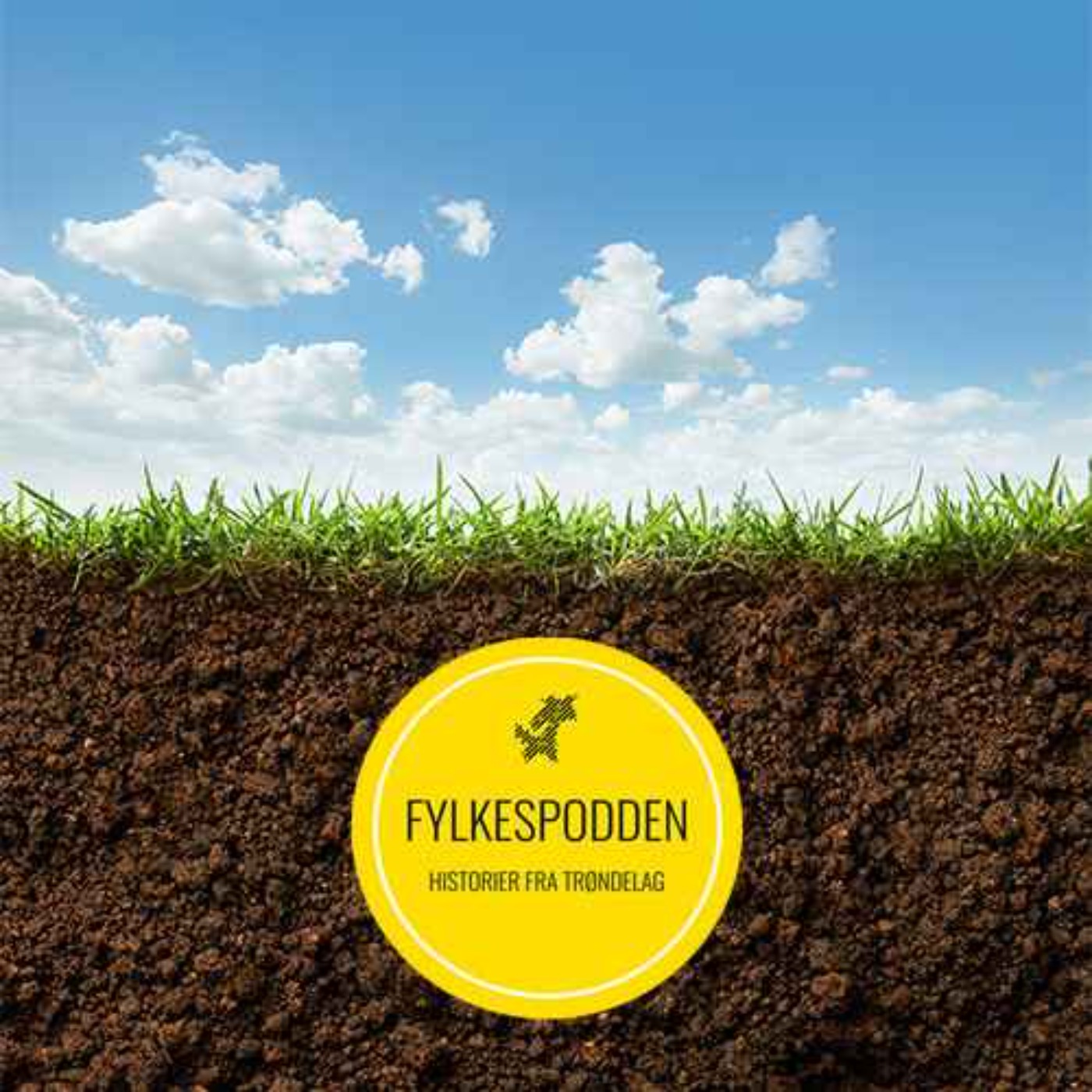 Fylkespodden