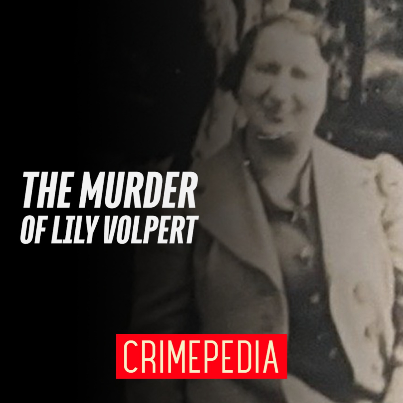 The Murder Of Lily Volpert Crimepedia Lyssna H r Poddtoppen se