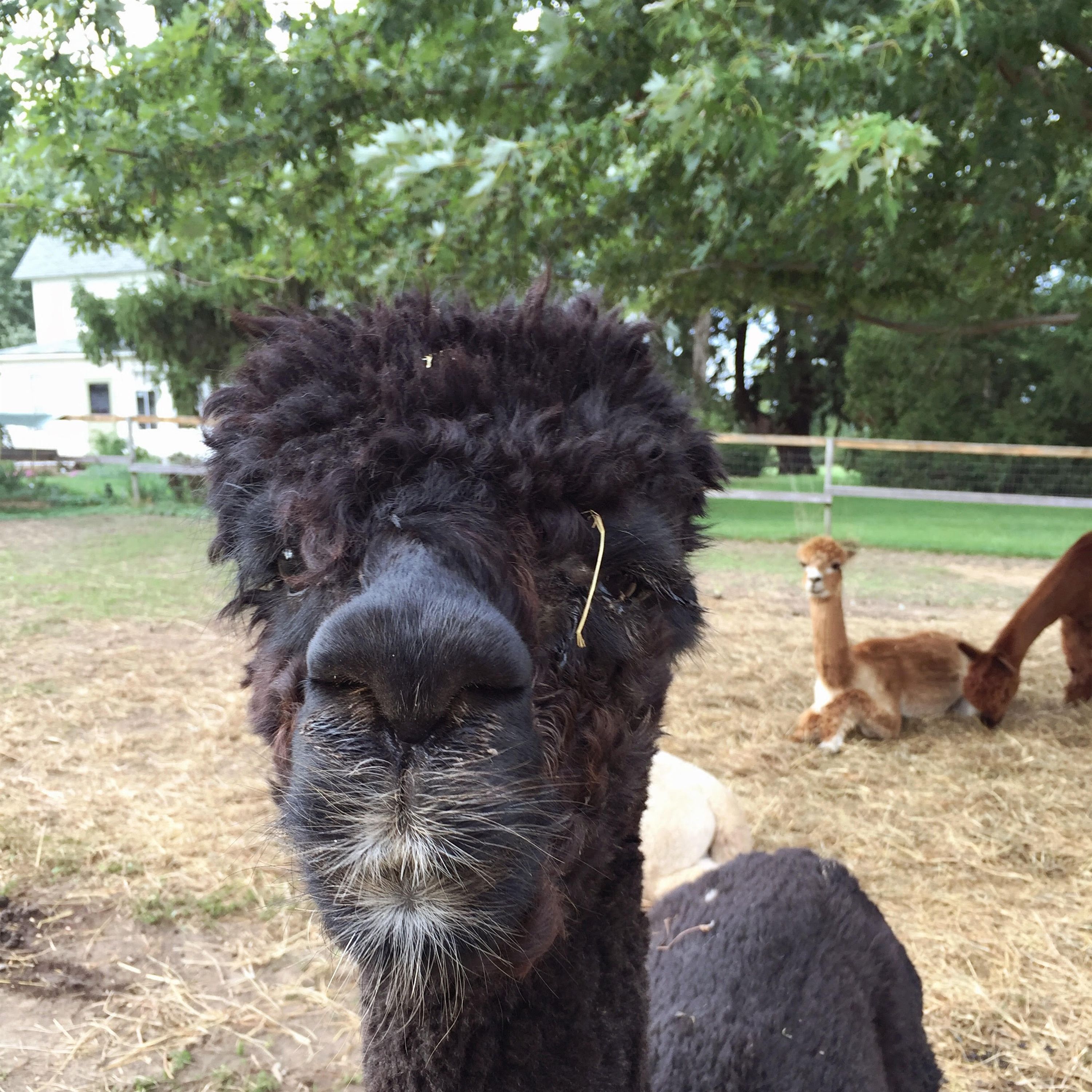 028: Things That Don't Matter