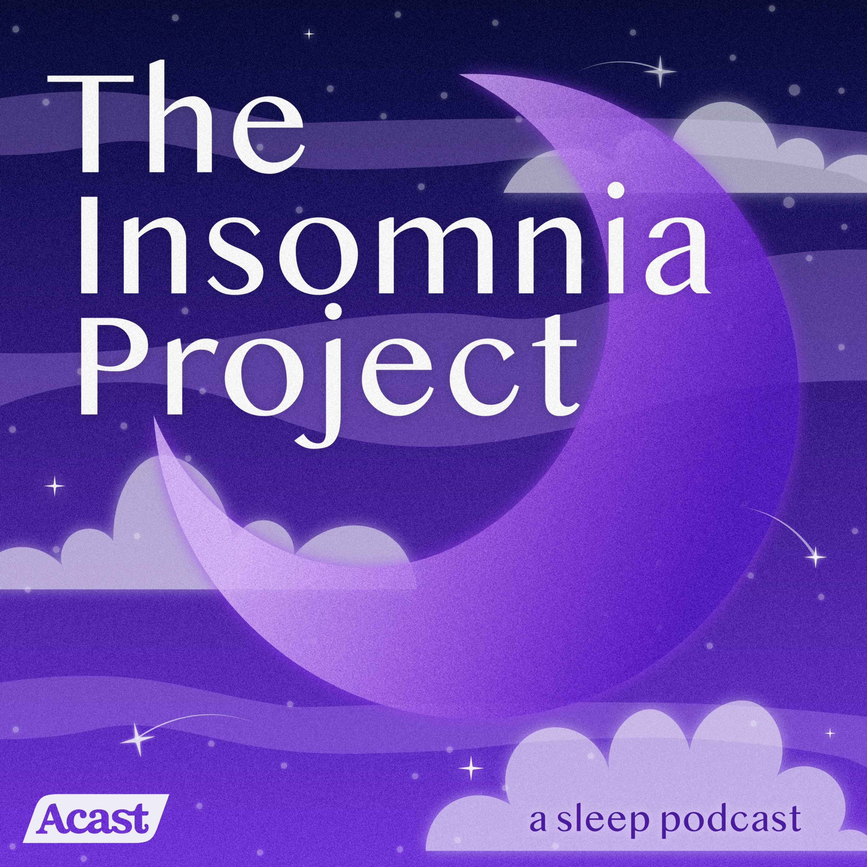 cover art for  A Detailed Tour of The Insomnia Project Basement