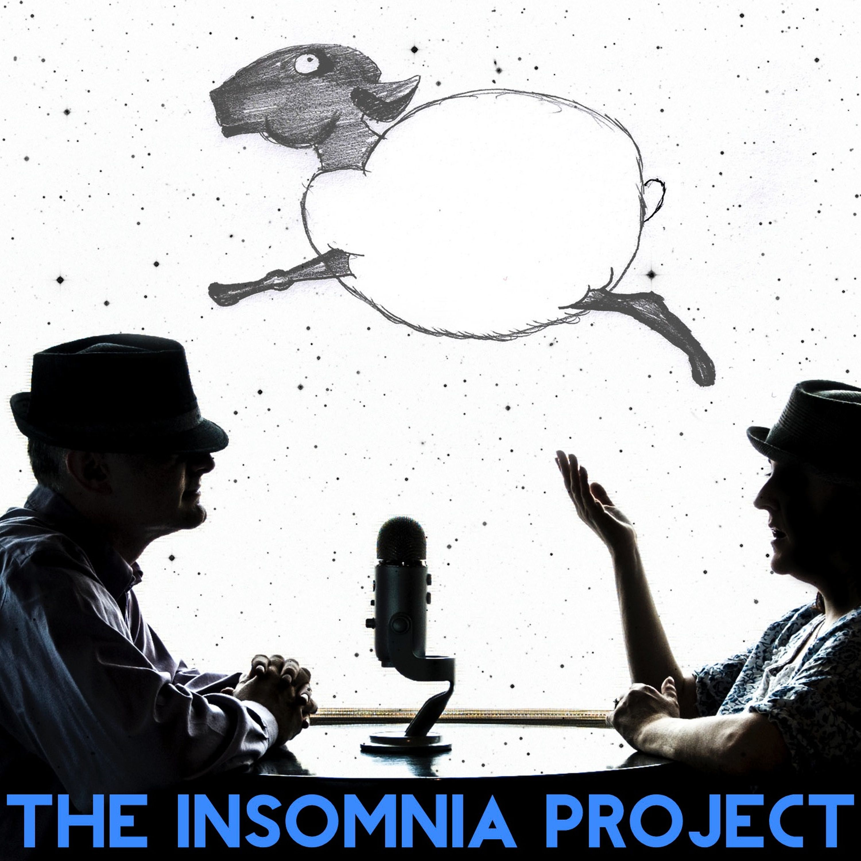 The History Of The Insomnia Project