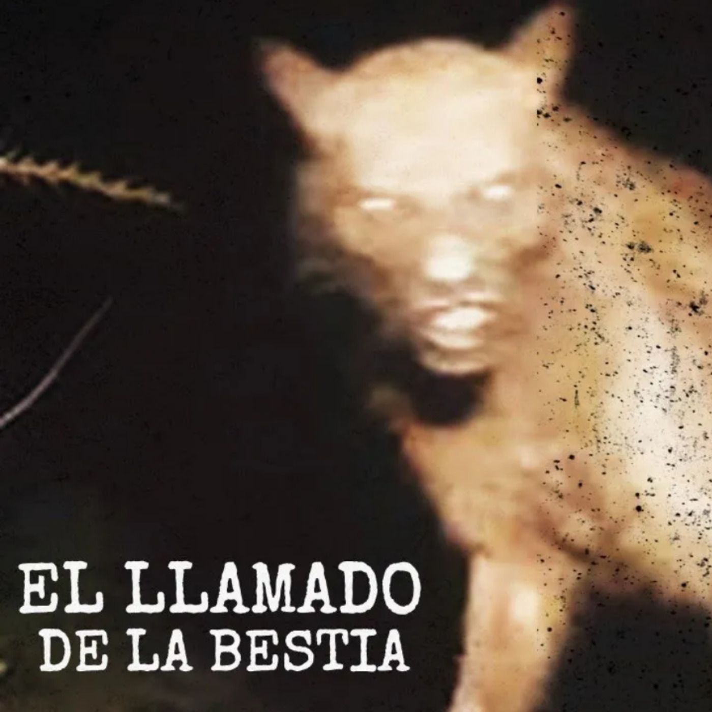 Relatos De Horror (Historias De Terror)