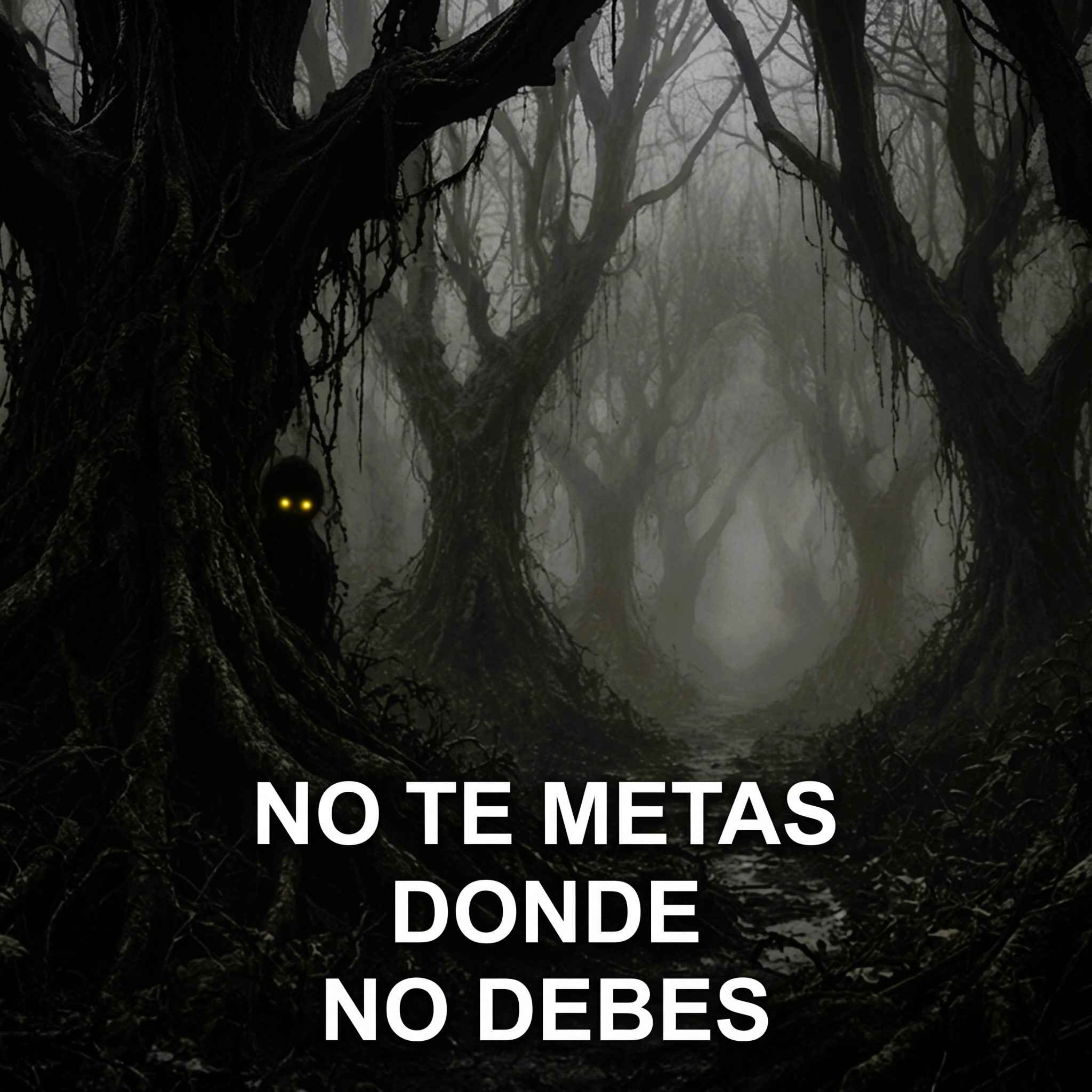 No Te Metas Donde No Debes (Historias De Militares) episode artwork