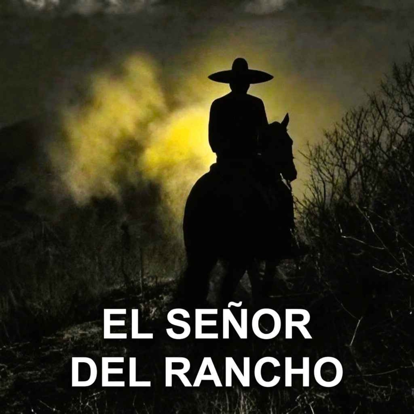 Portada de Relatos De Horror (Historias De Terror)