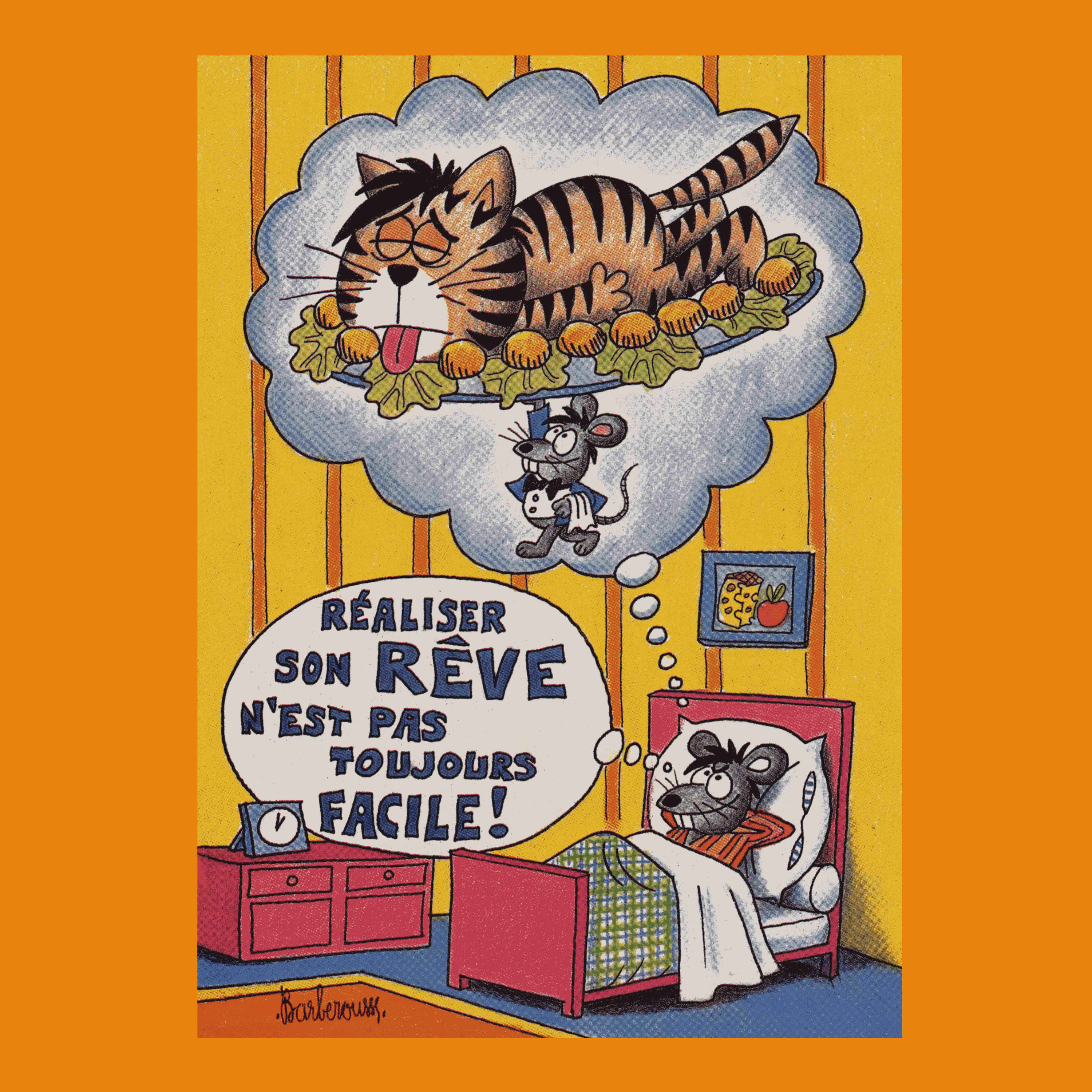 Un chat, une souris... Et Barberousse !