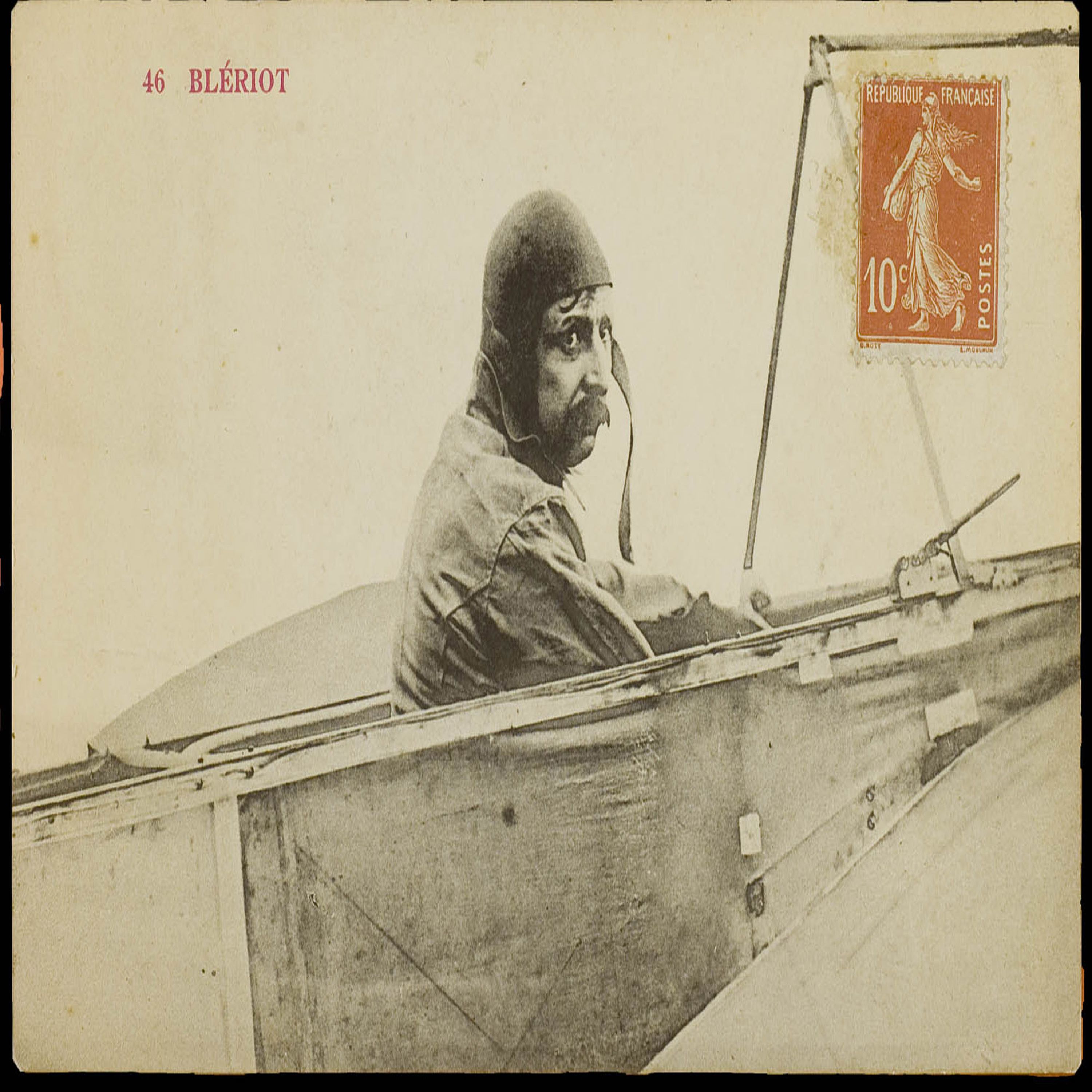 Le roi des pâquerettes