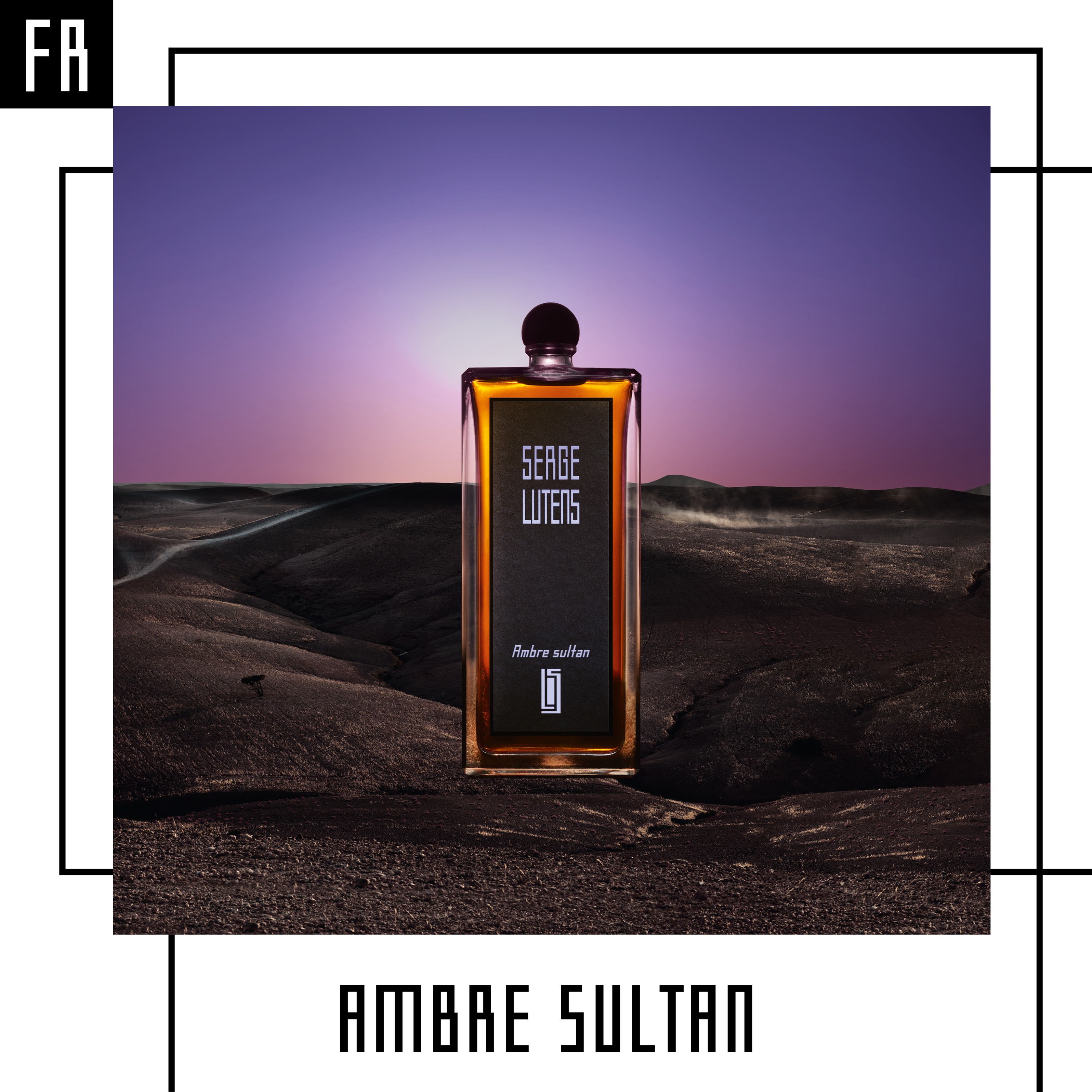 Collection noire « Les emblématiques » - Ambre sultan