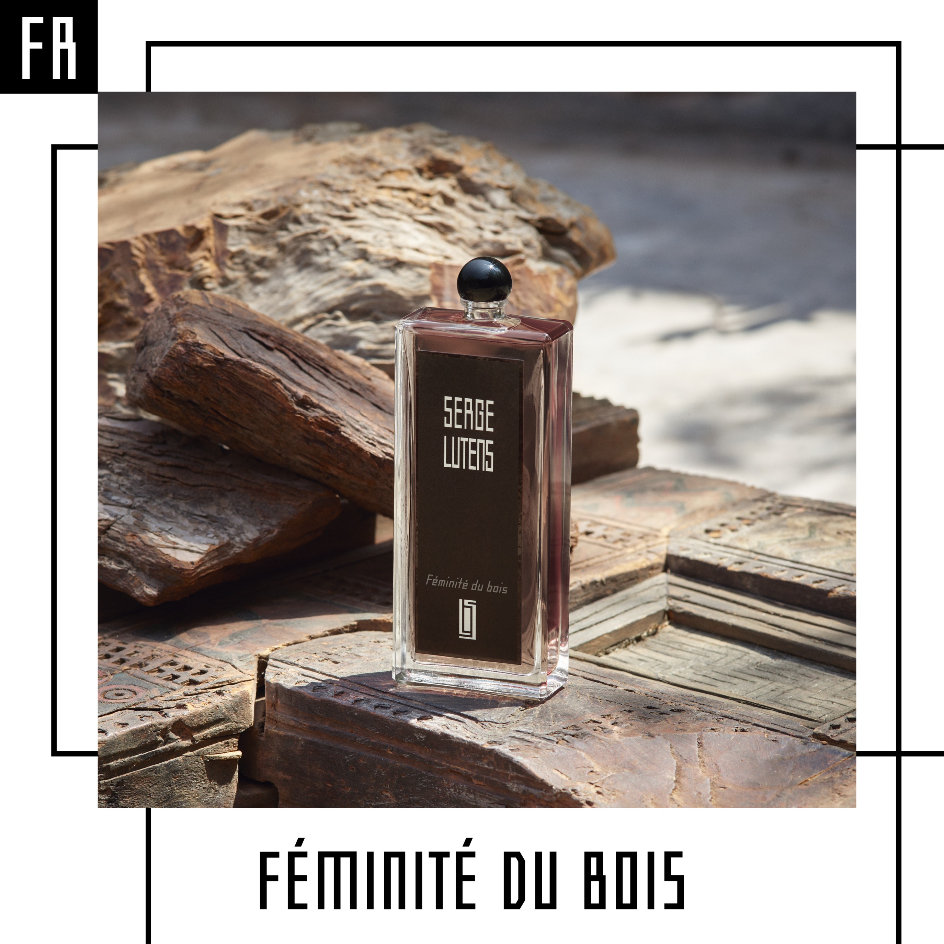Collection noire « Les emblématiques » - Féminité du bois
