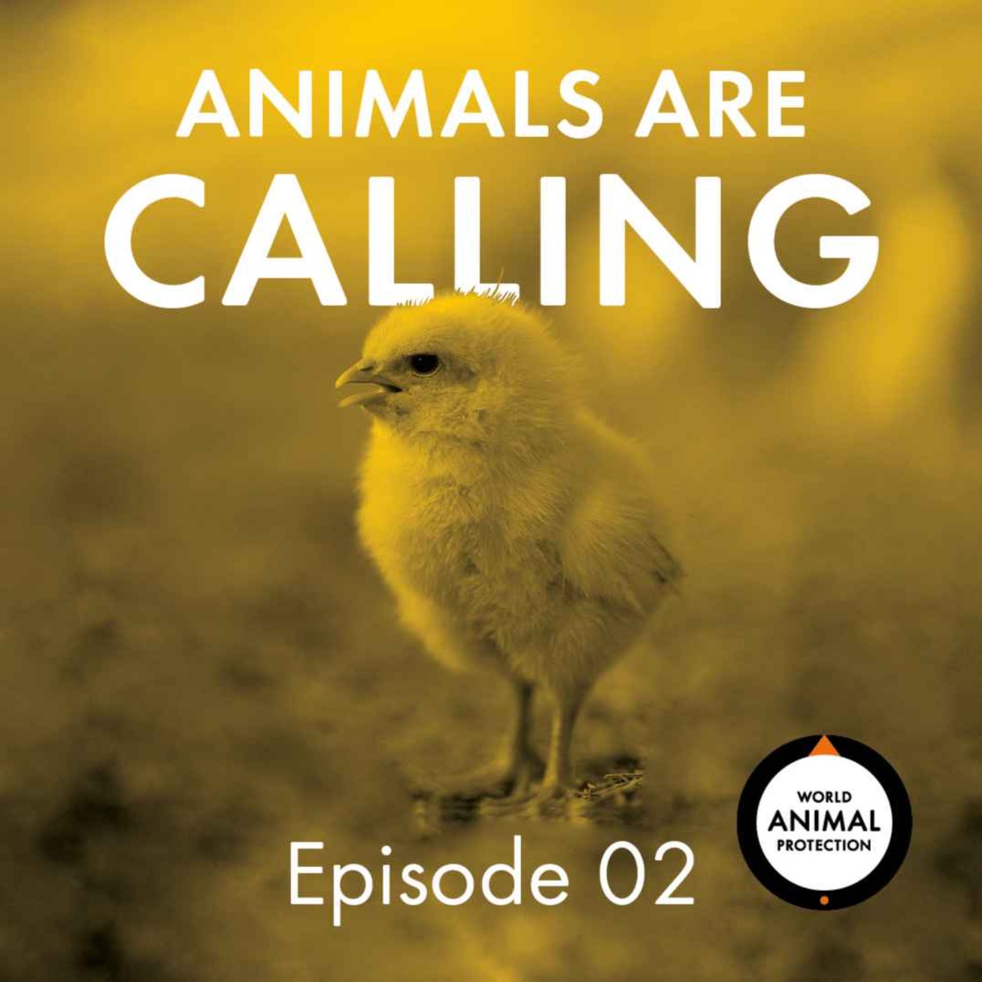 S1 E2: There Is No Future For Factory Farming with Mark Dia