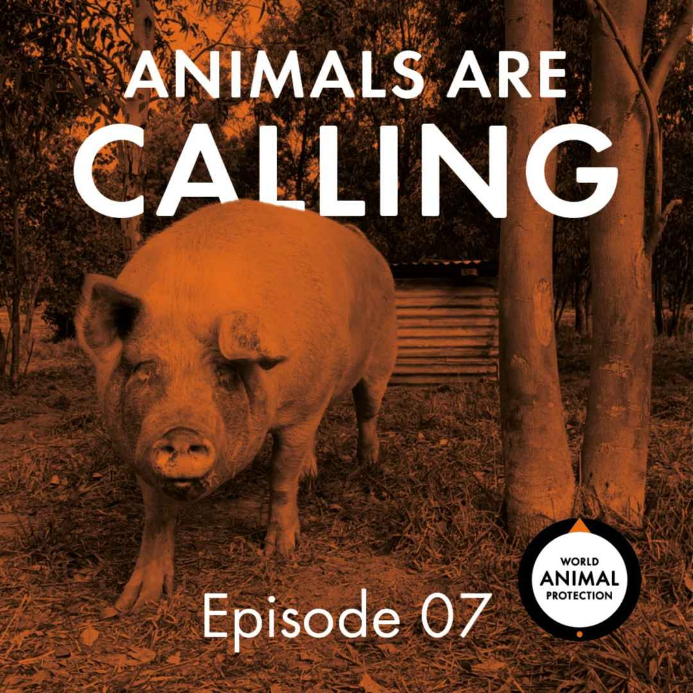 S1 E7: A Look Back at Series 1