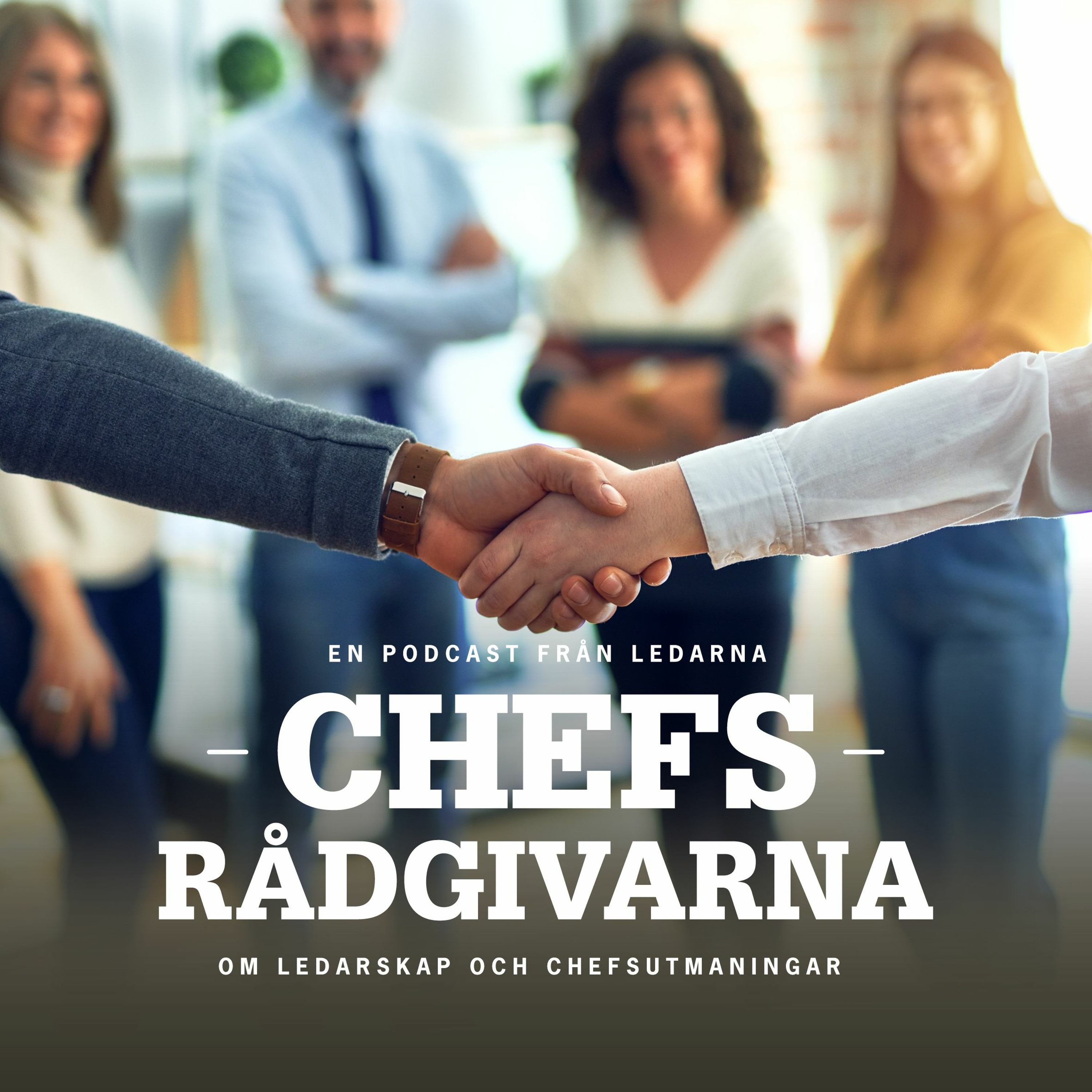 Chefsrådgivarna
