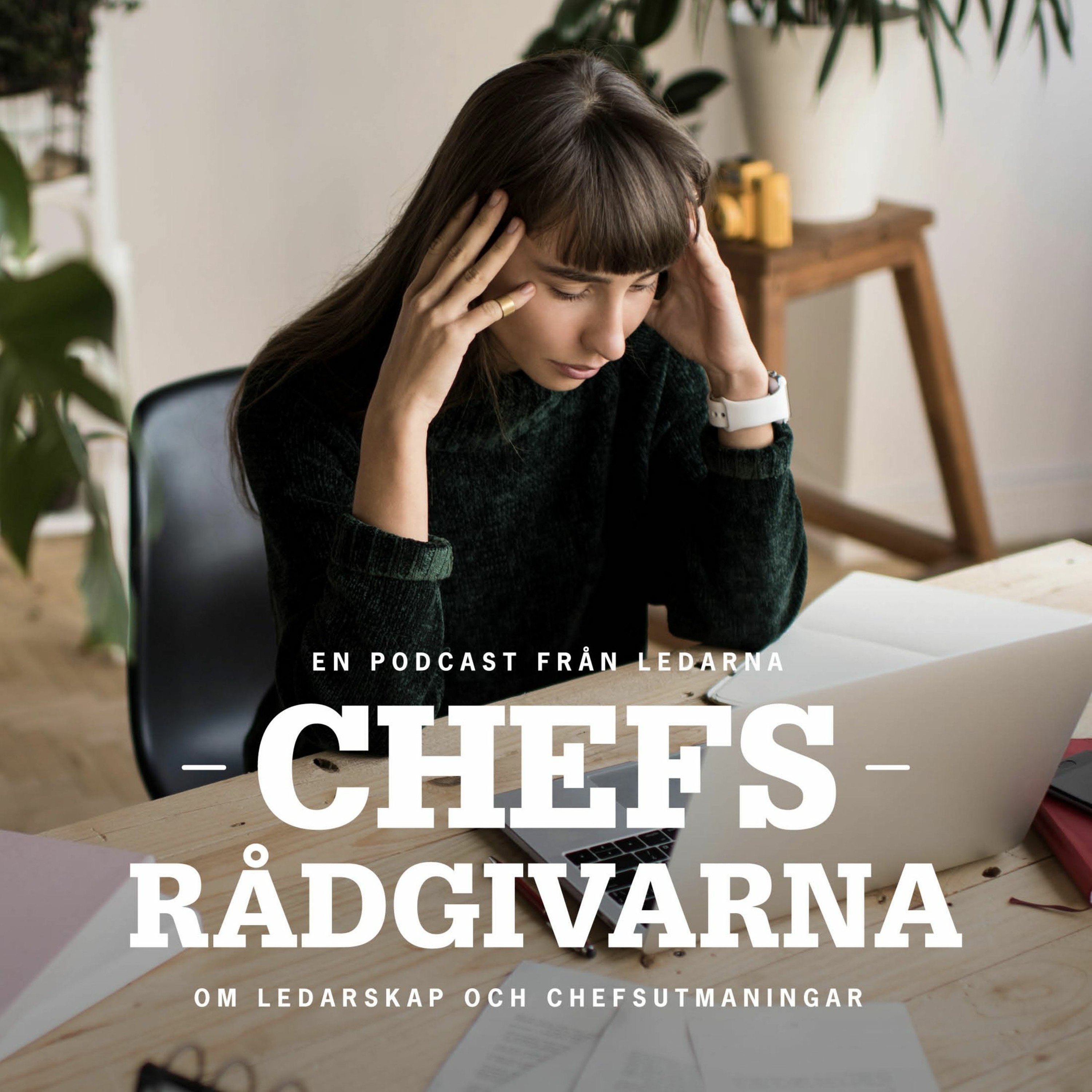 Chefsrådgivarna