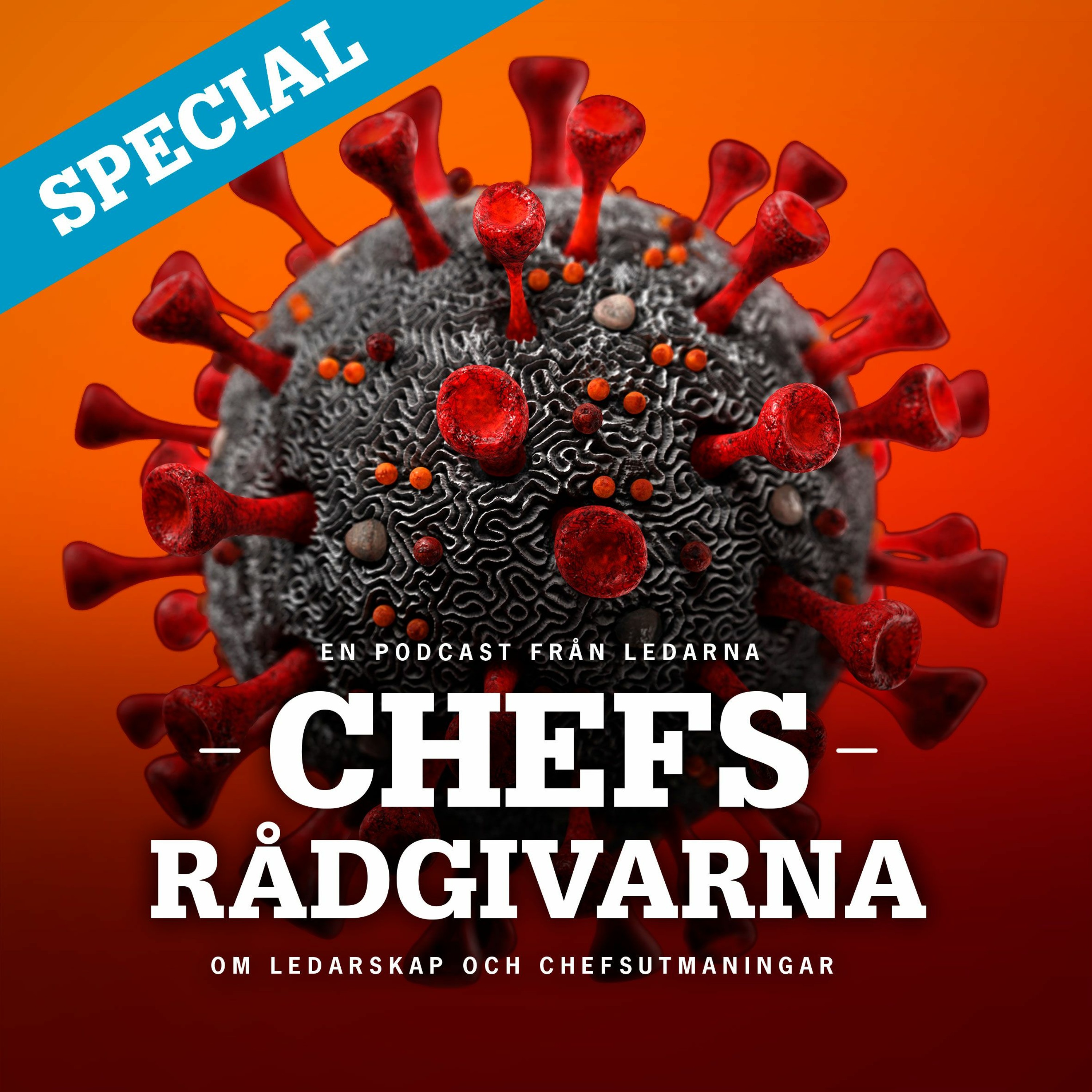 Chefsrådgivarna