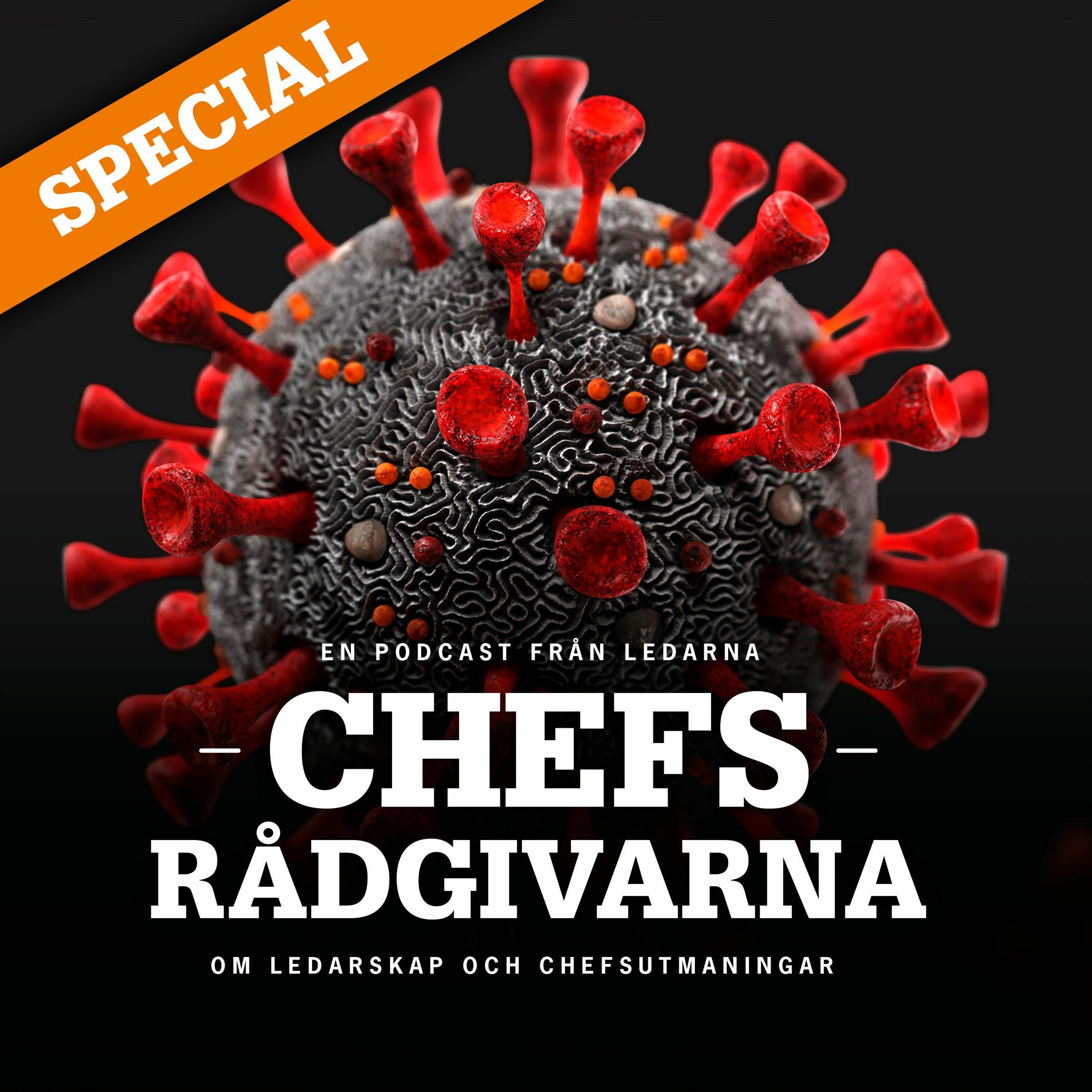 Chefsrådgivarna
