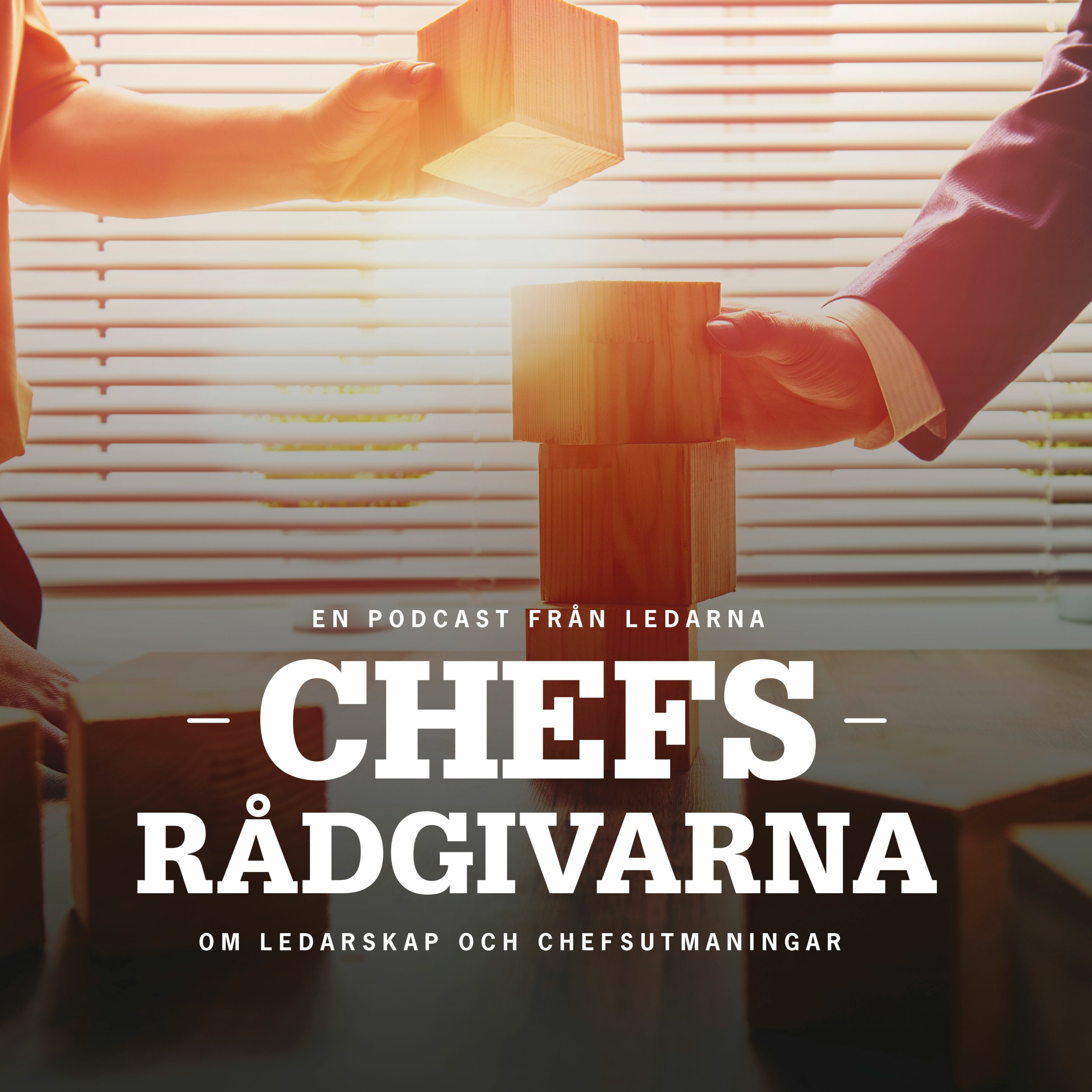 Chefsrådgivarna