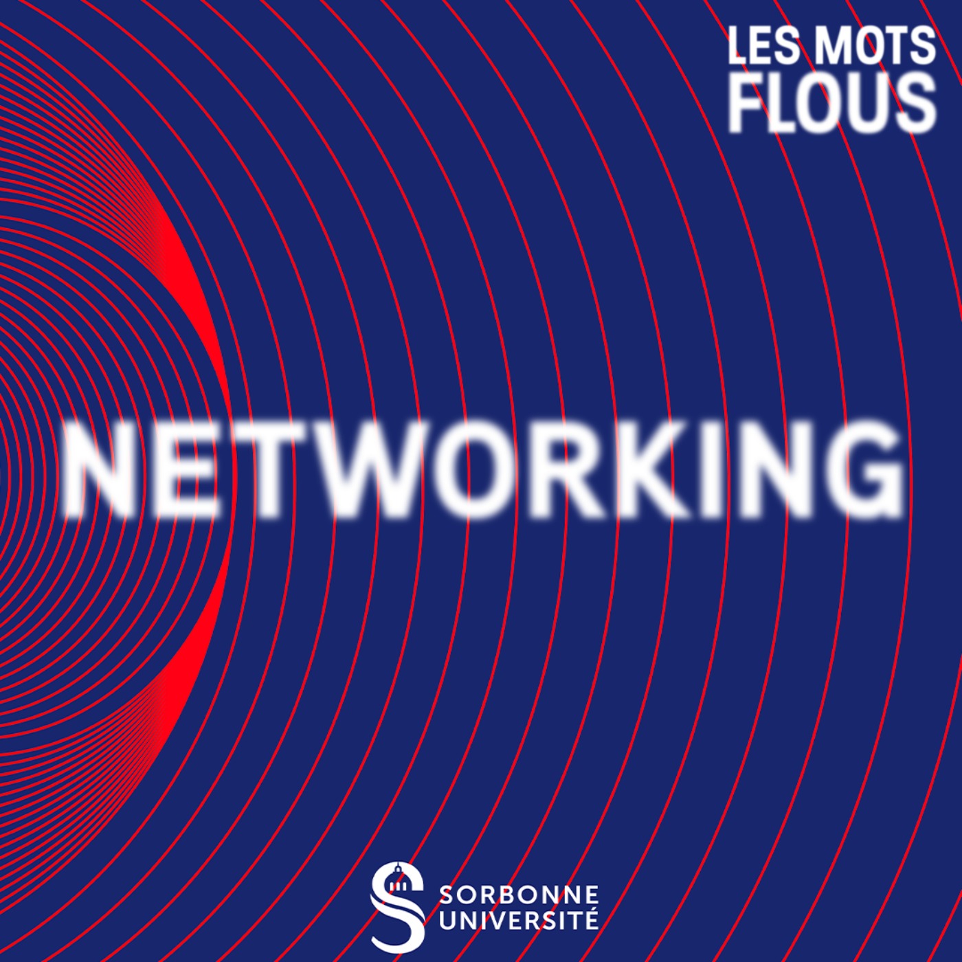 cover art for Networking