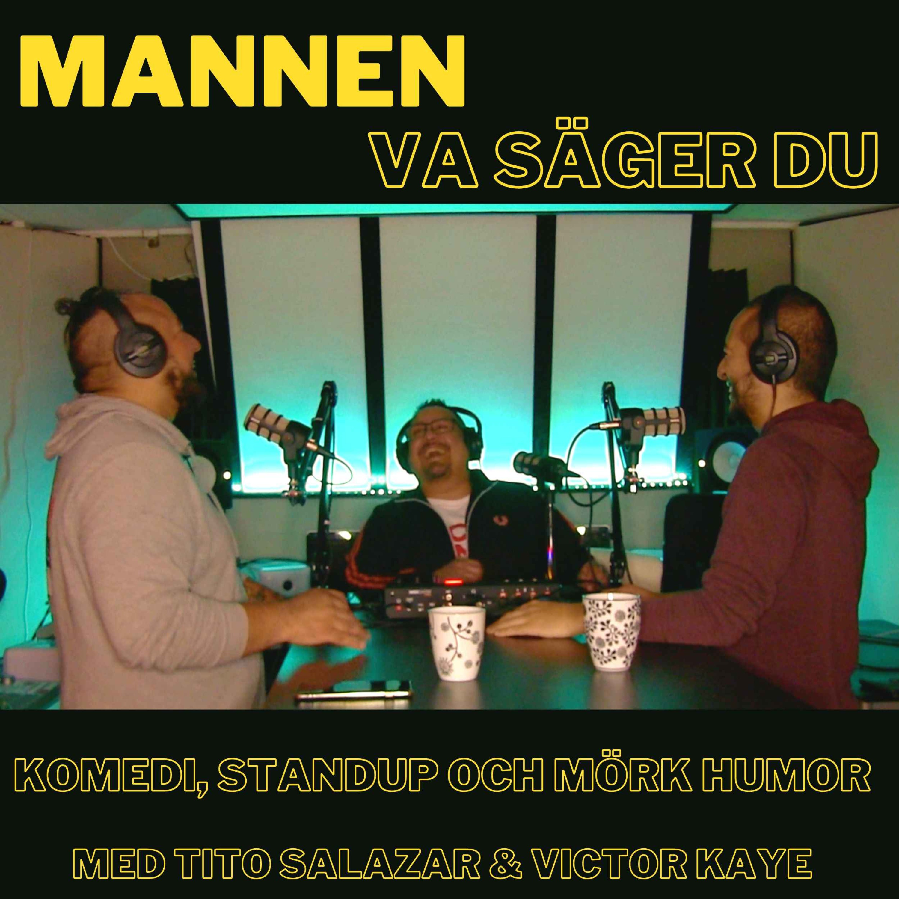 Mannen, Va säger du!