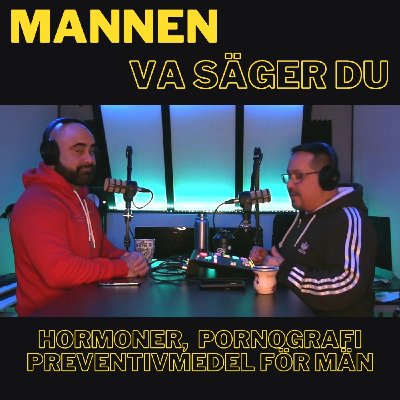 Mannen, Va säger du!