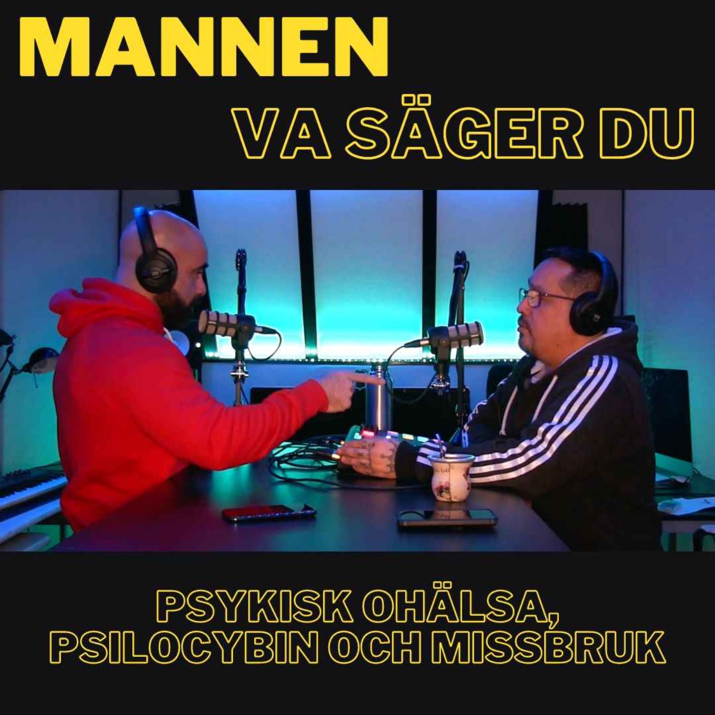 Mannen, Va säger du!