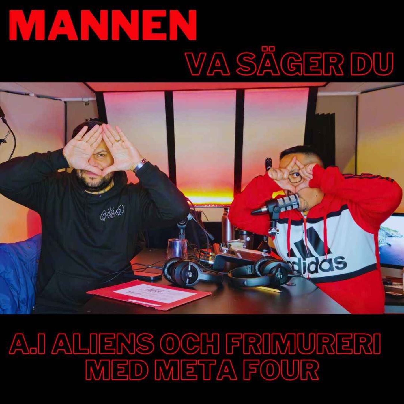 Mannen, Va säger du!