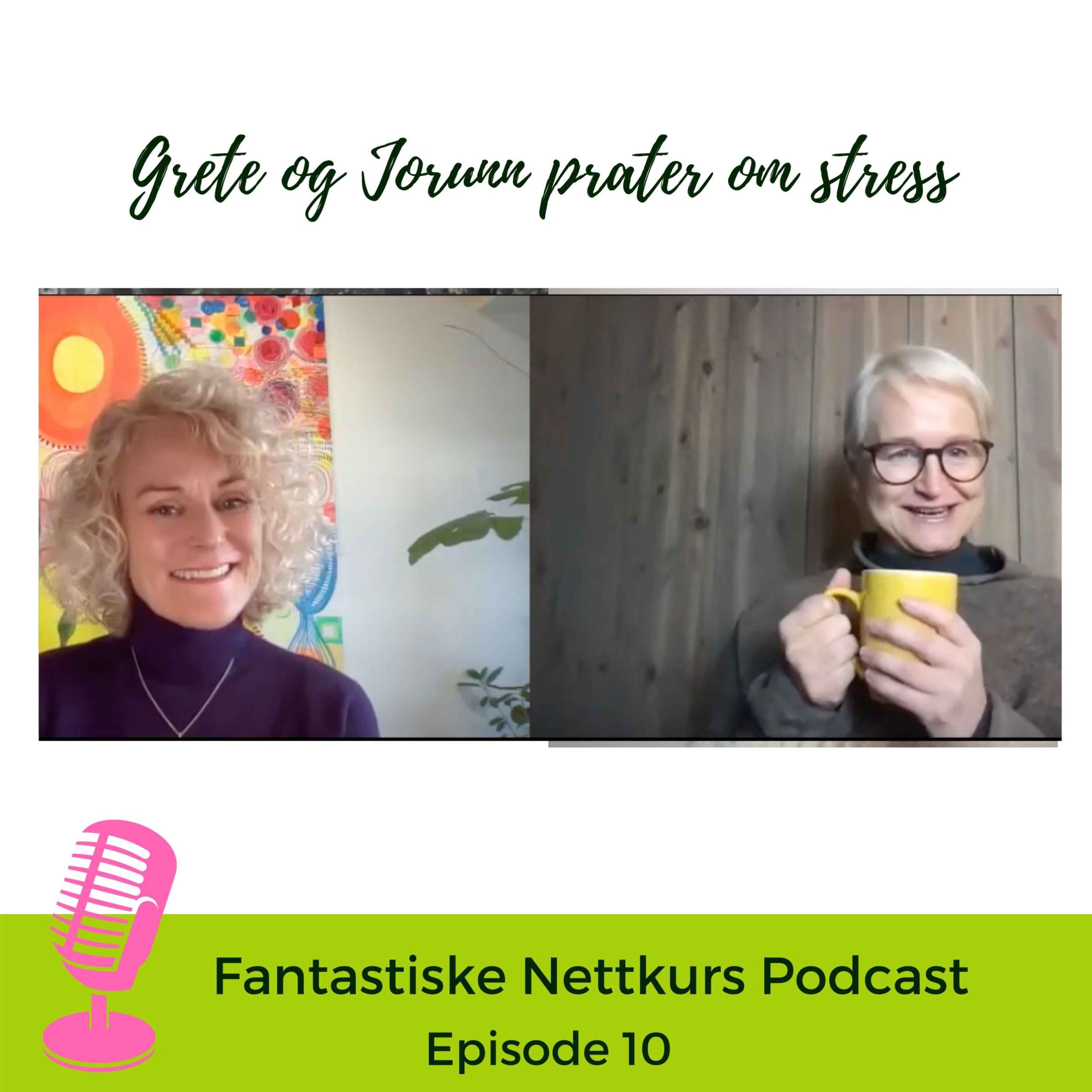 Hadde det ikke vært gøy podcasten