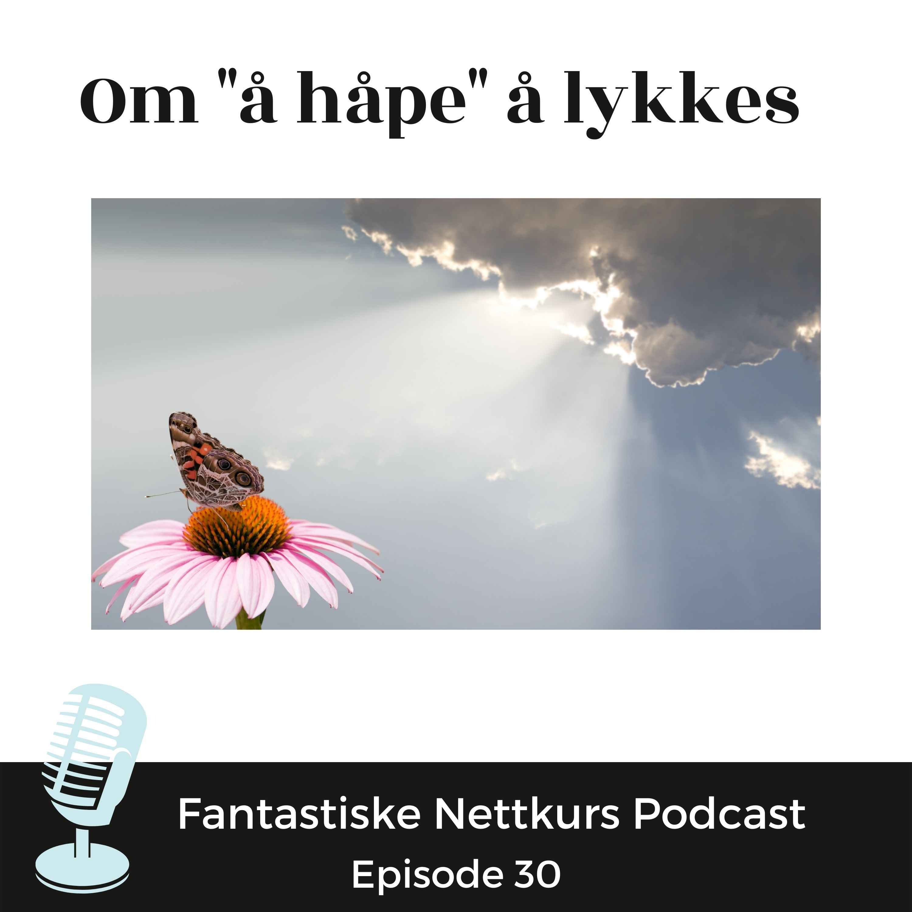 Hadde det ikke vært gøy podcasten