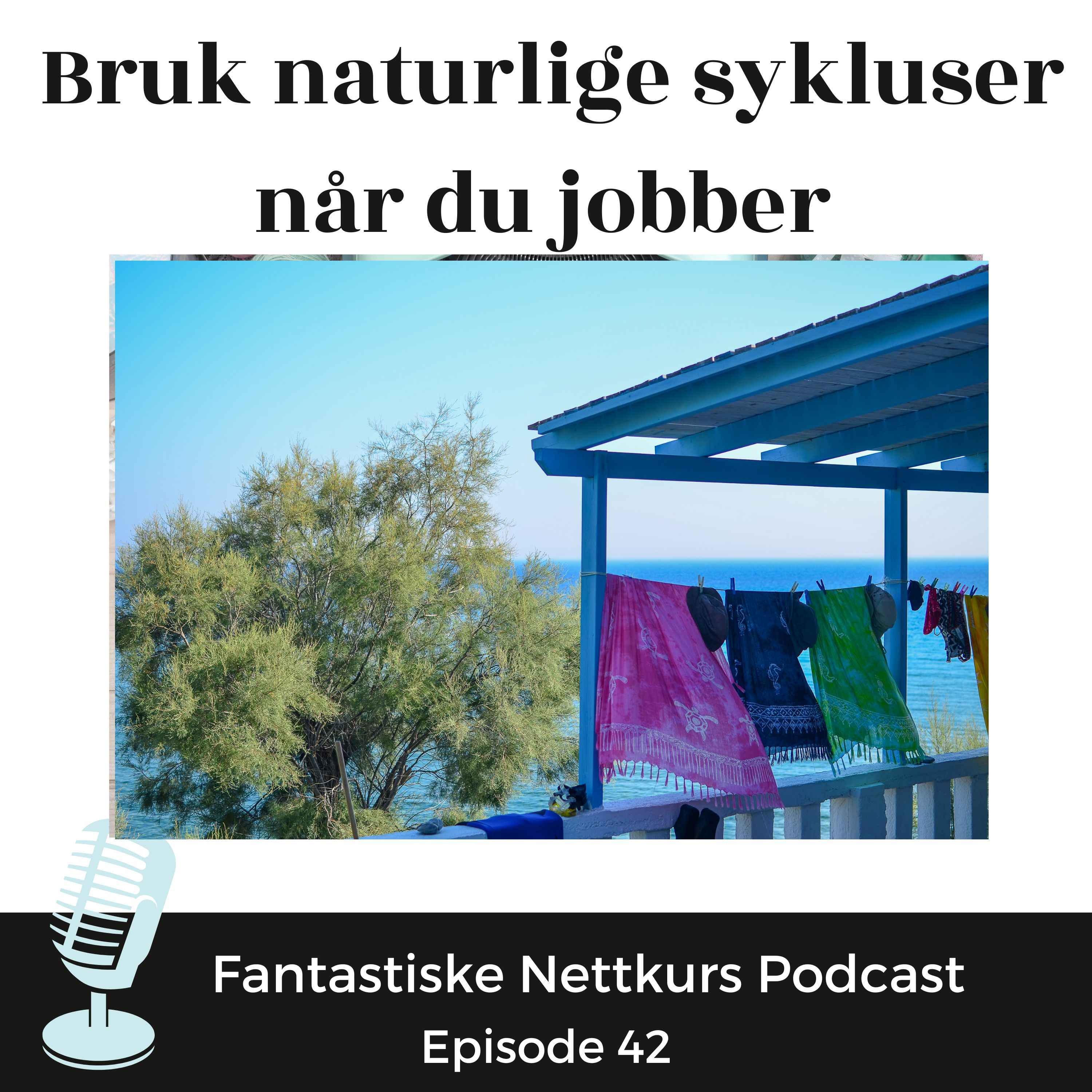 Hadde det ikke vært gøy podcasten