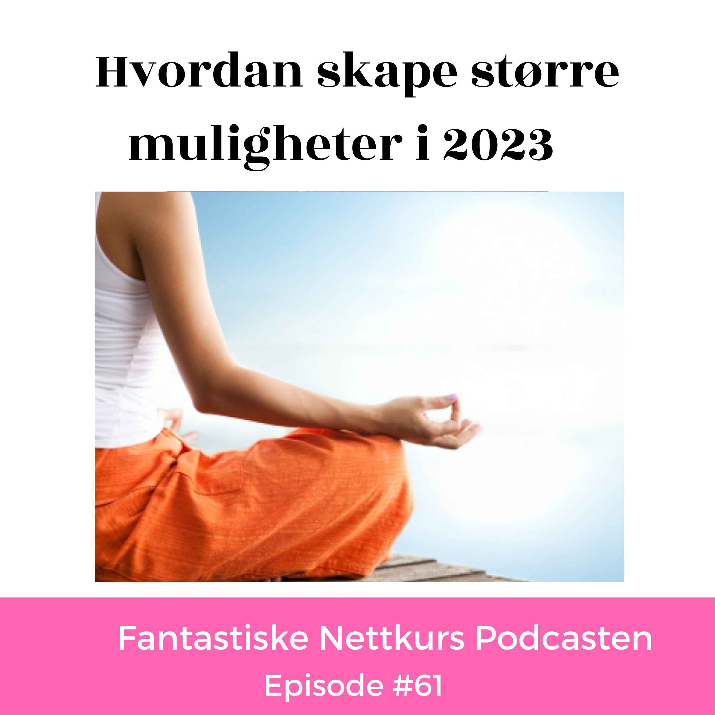 Hadde det ikke vært gøy podcasten