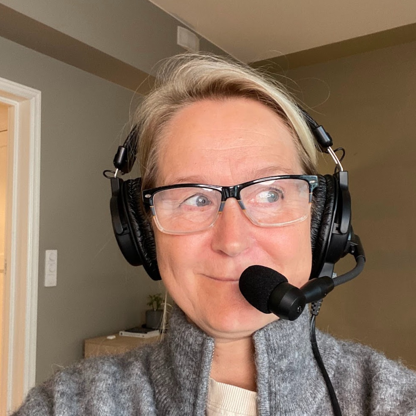 Hadde det ikke vært gøy podcasten