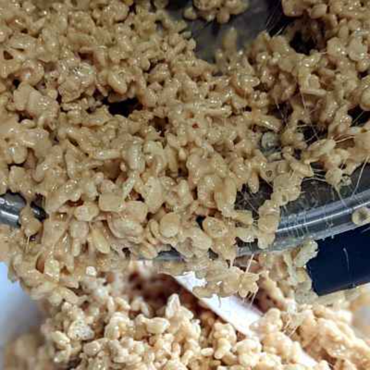 Salty Caramel Rice Krispie Treats