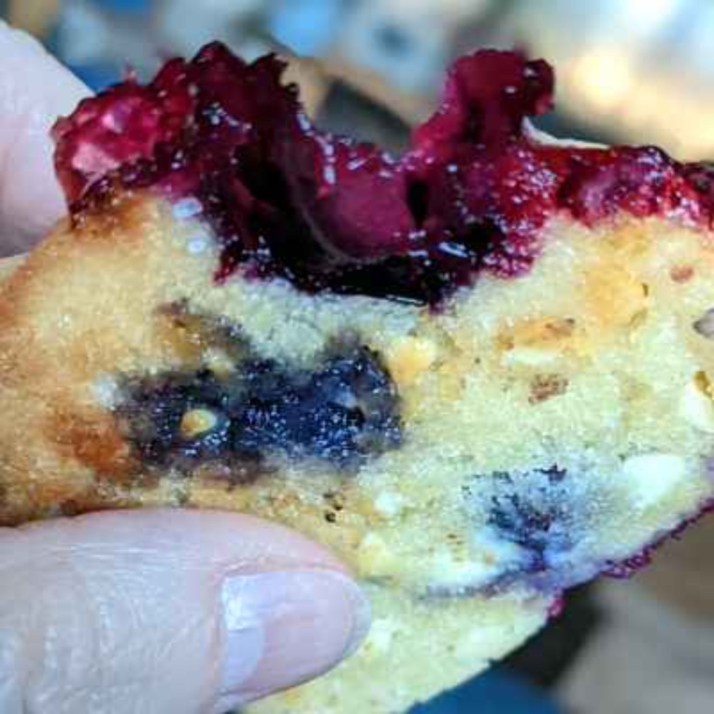 Blueberry White Chocolate Chip Cookies : Summer Berry Treat