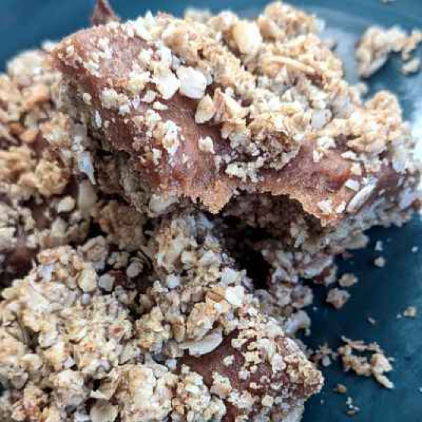 Healthy Coconut Date Bars