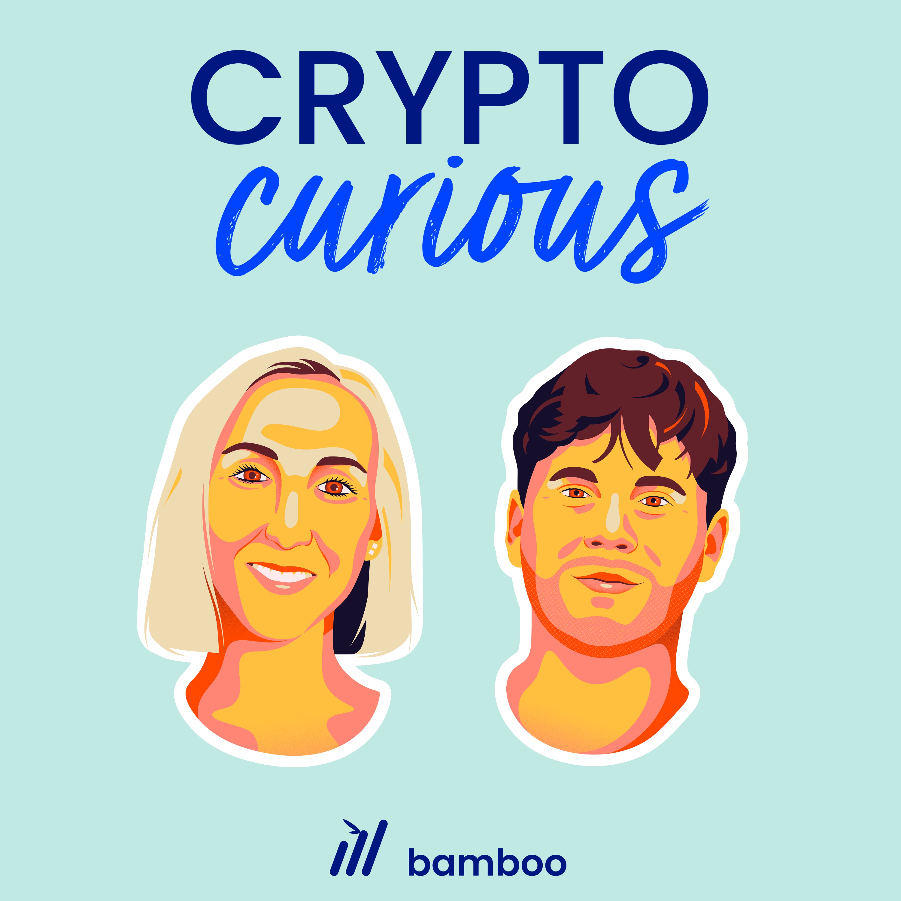 251 - The $387M Hack, Stocks on Aave & Europe's Digital Euro episode artwork