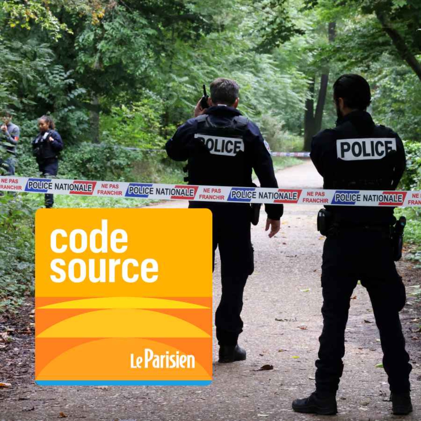 Meurtre de Philippine : ce que l'on sait de l'enquête et du suspect arrêté en Suisse