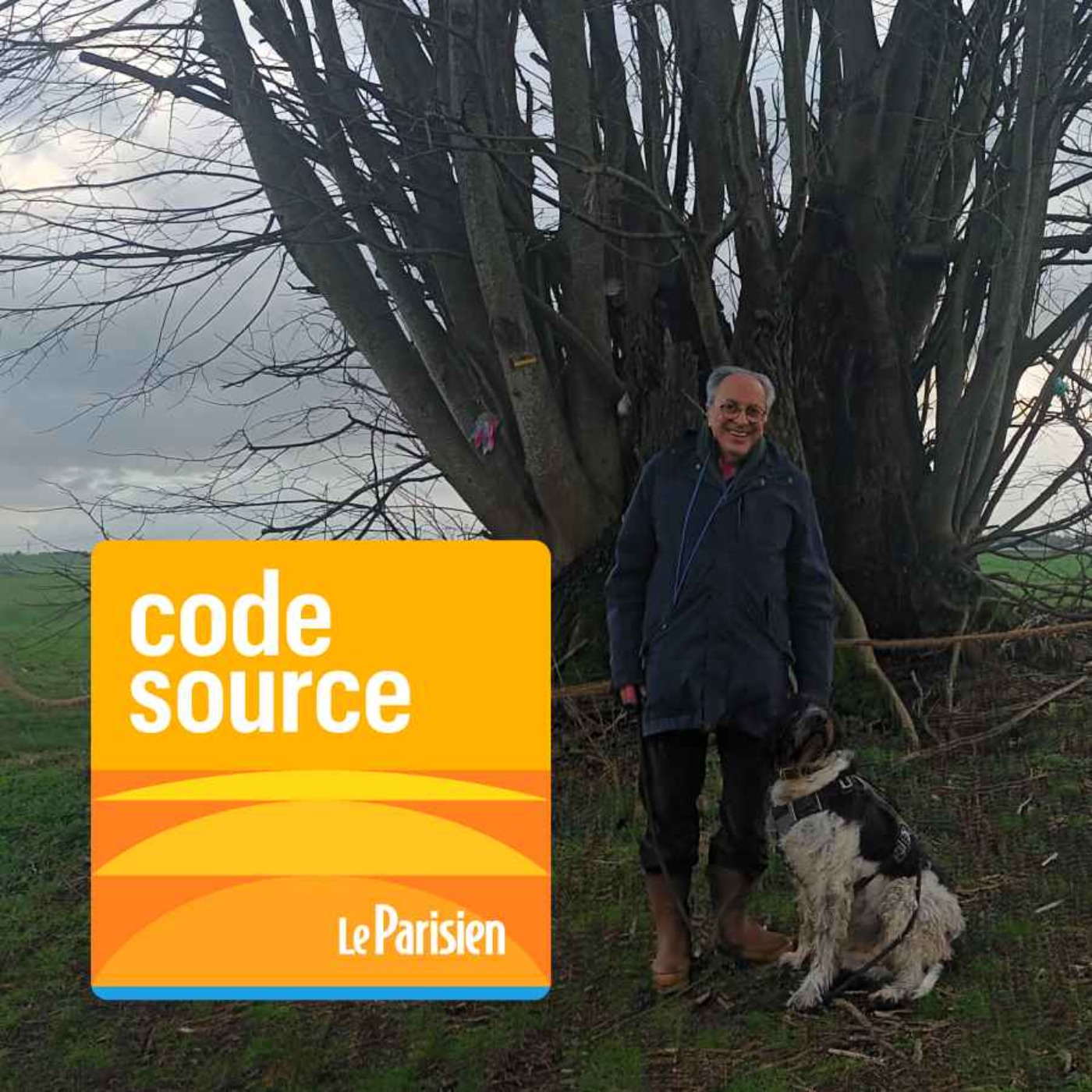 Code source - Révolution française, foudre… La folle histoire d’un tilleul racontée par un passionné