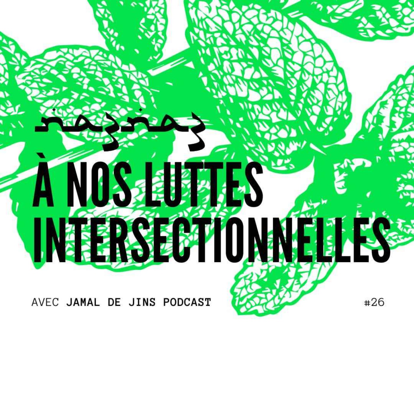 cover art for na3na3 #26 | À nos luttes intersectionnelles, avec Jamal de JINS 